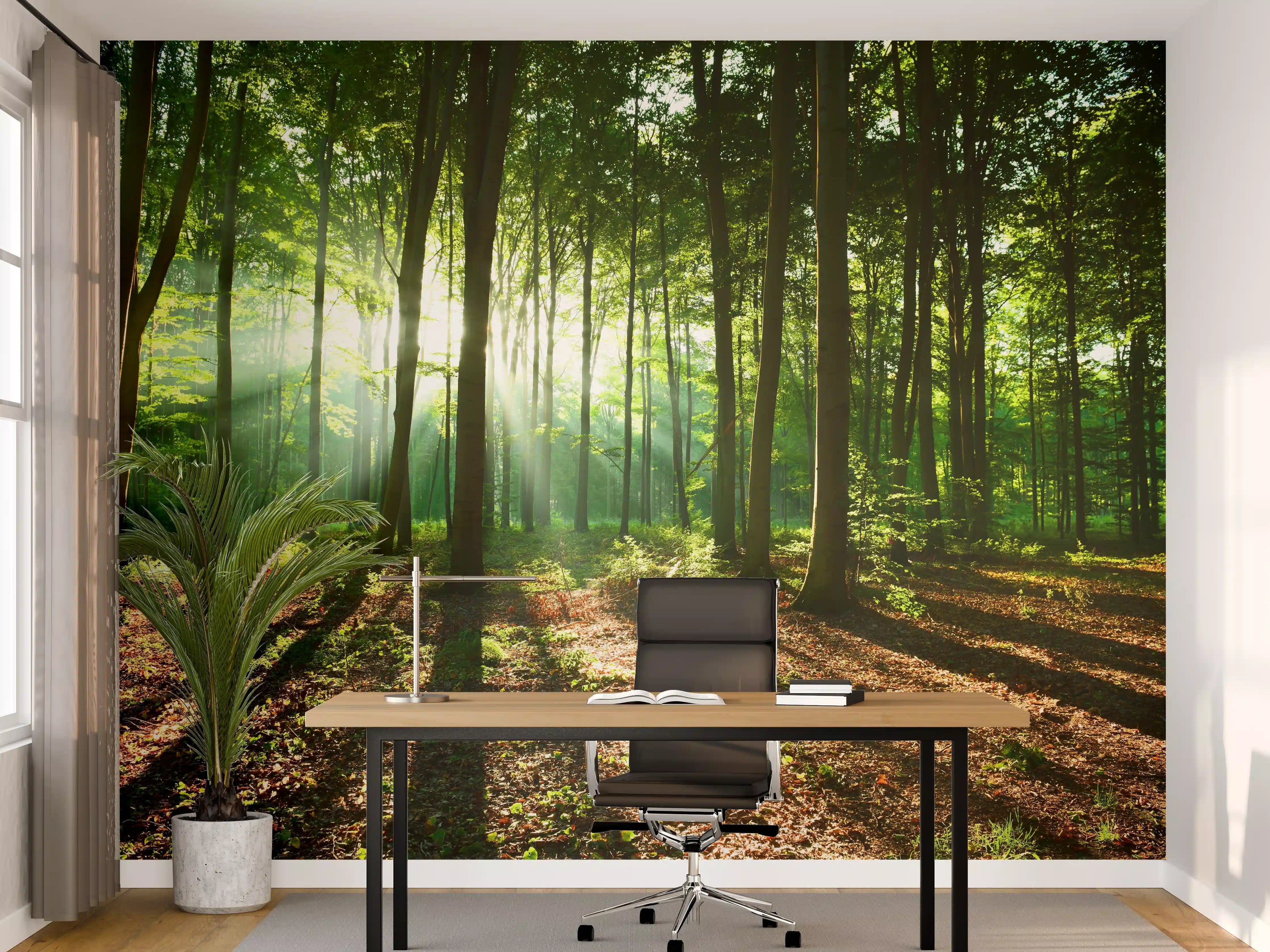 Büro Wandgestaltung - Sonnenaufgang im Bayrischem Wald