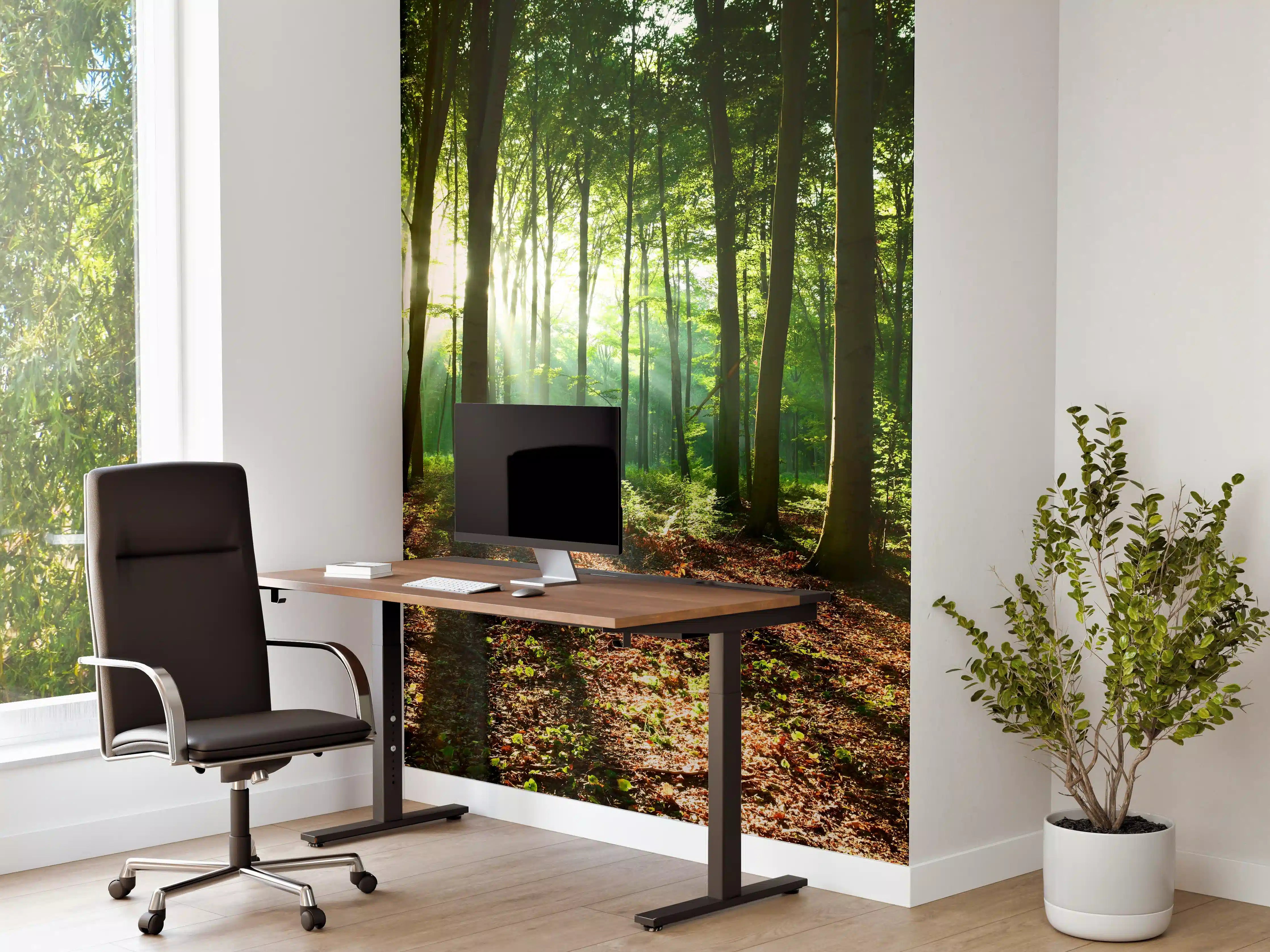 Büro Wandgestaltung - Sonnenaufgang im Bayrischem Wald