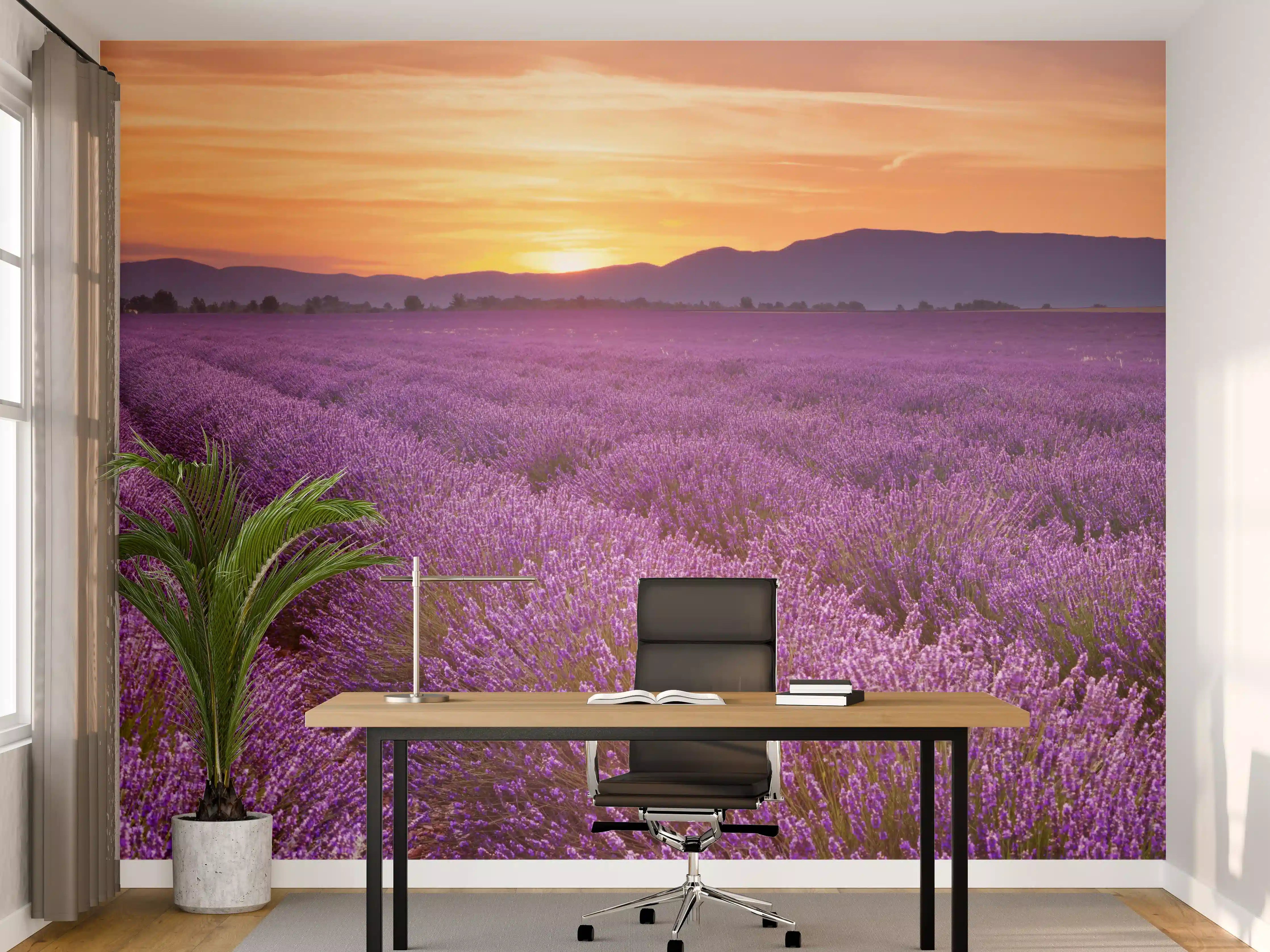 Büro Wandgestaltung - Sonnenaufgang über Lavendelfelder - Provence