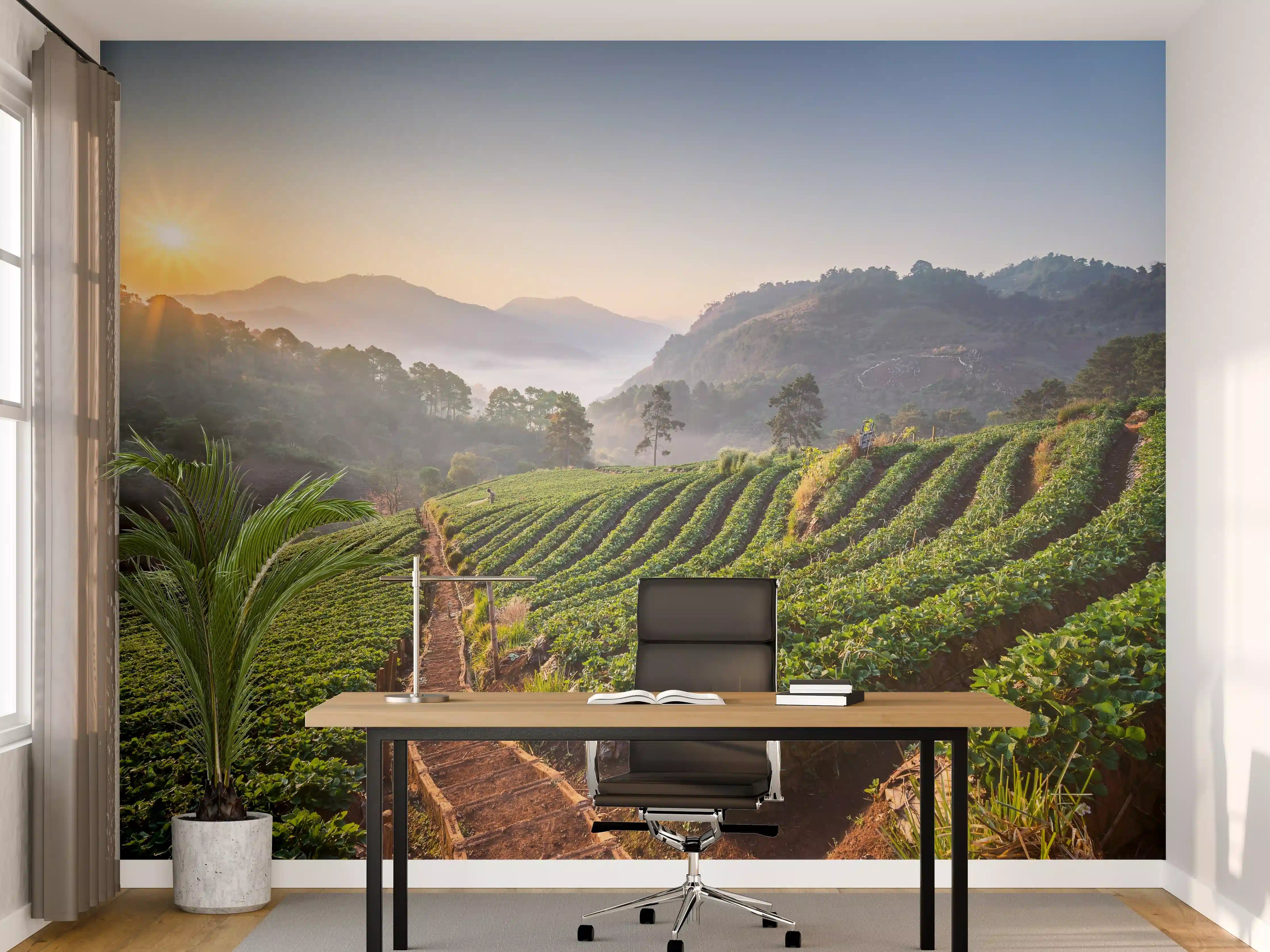 Büro Wandgestaltung - Sonnenaufgang über grünen Teeplantagen
