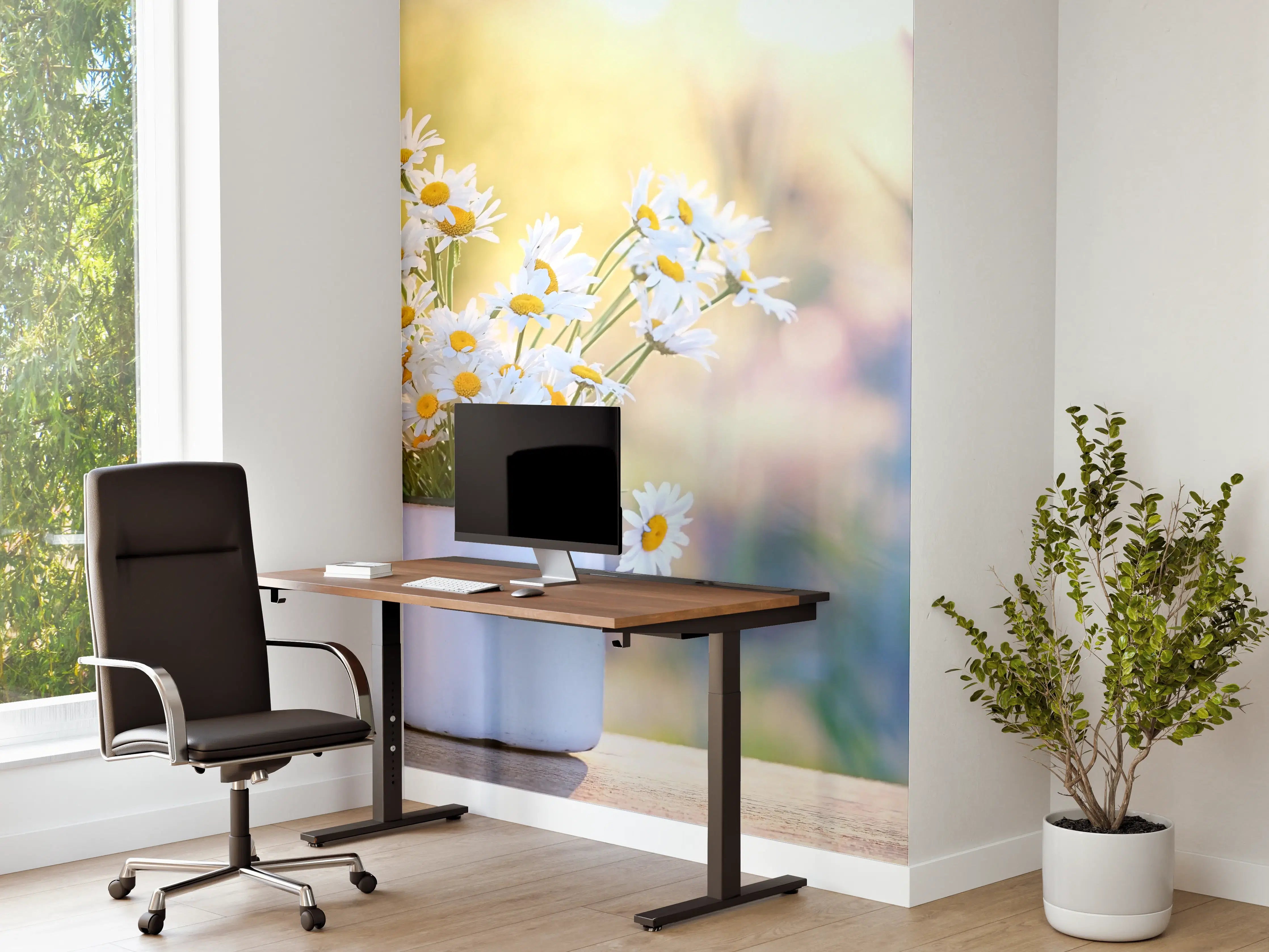 Büro Wandgestaltung - Sonnenbeschienene Gänseblümchen