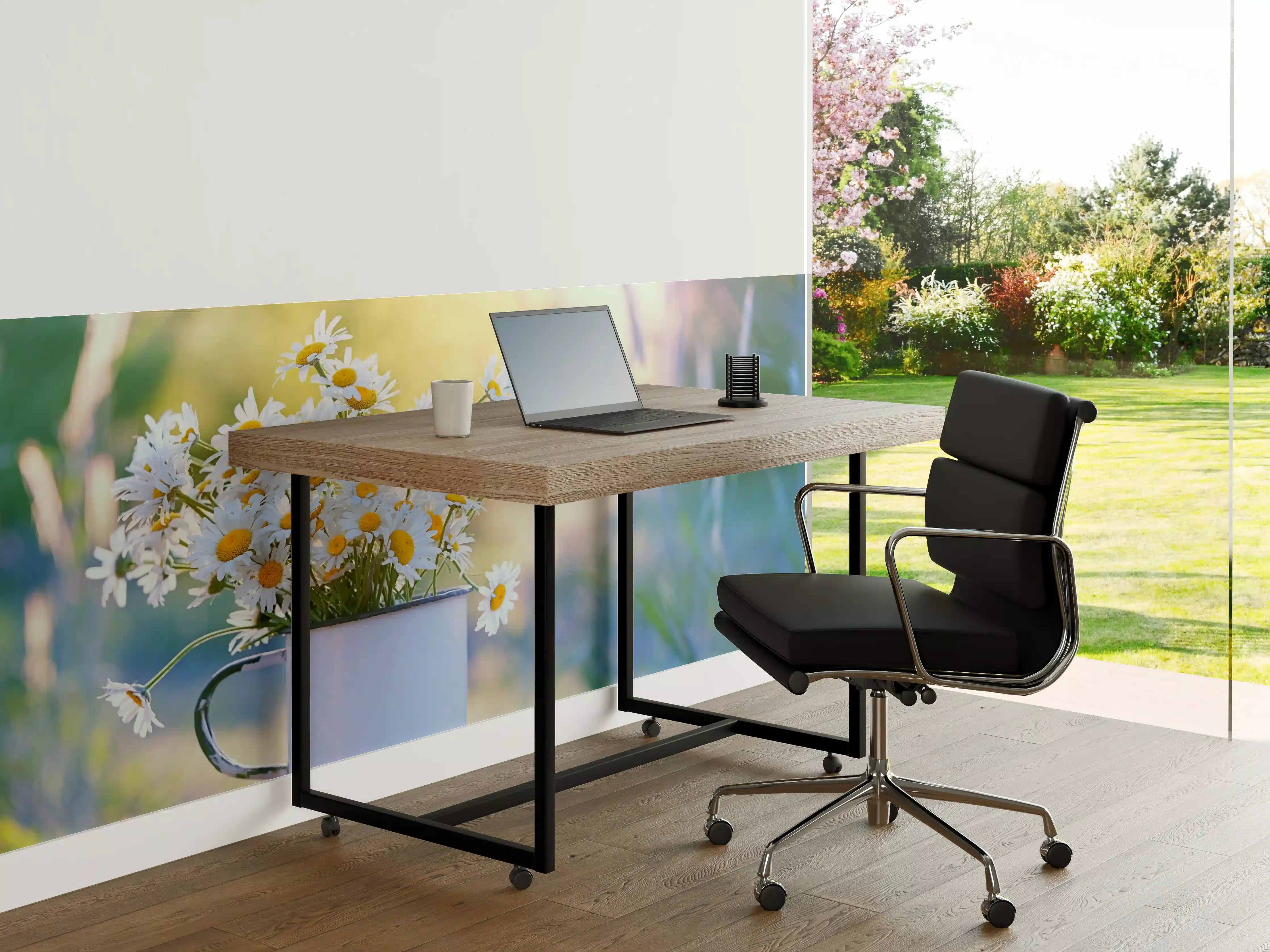 Büro Wandgestaltung - Sonnenbeschienene Gänseblümchen