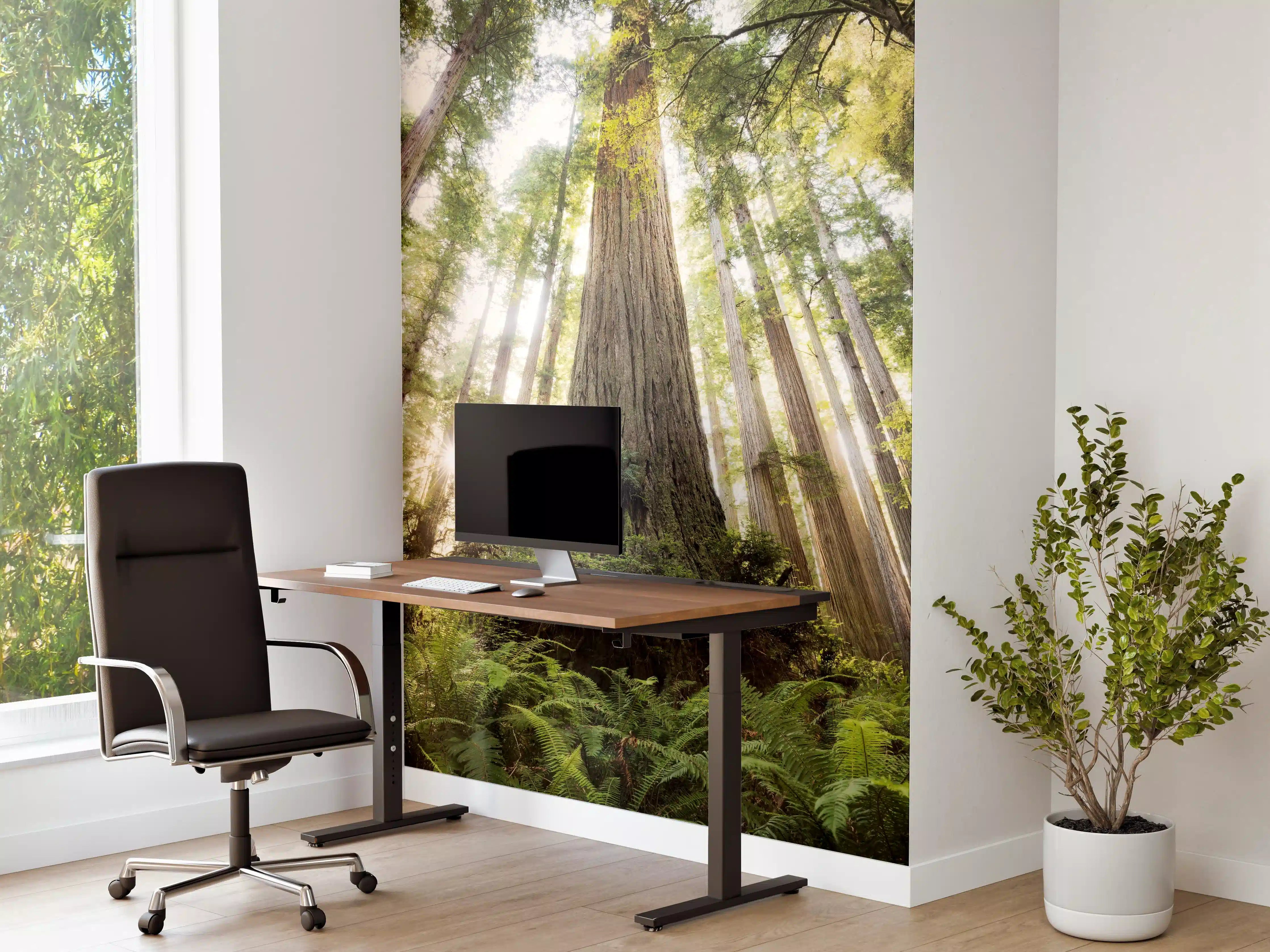 Büro Wandgestaltung - Sonnenstrahlen im Grünen Wald