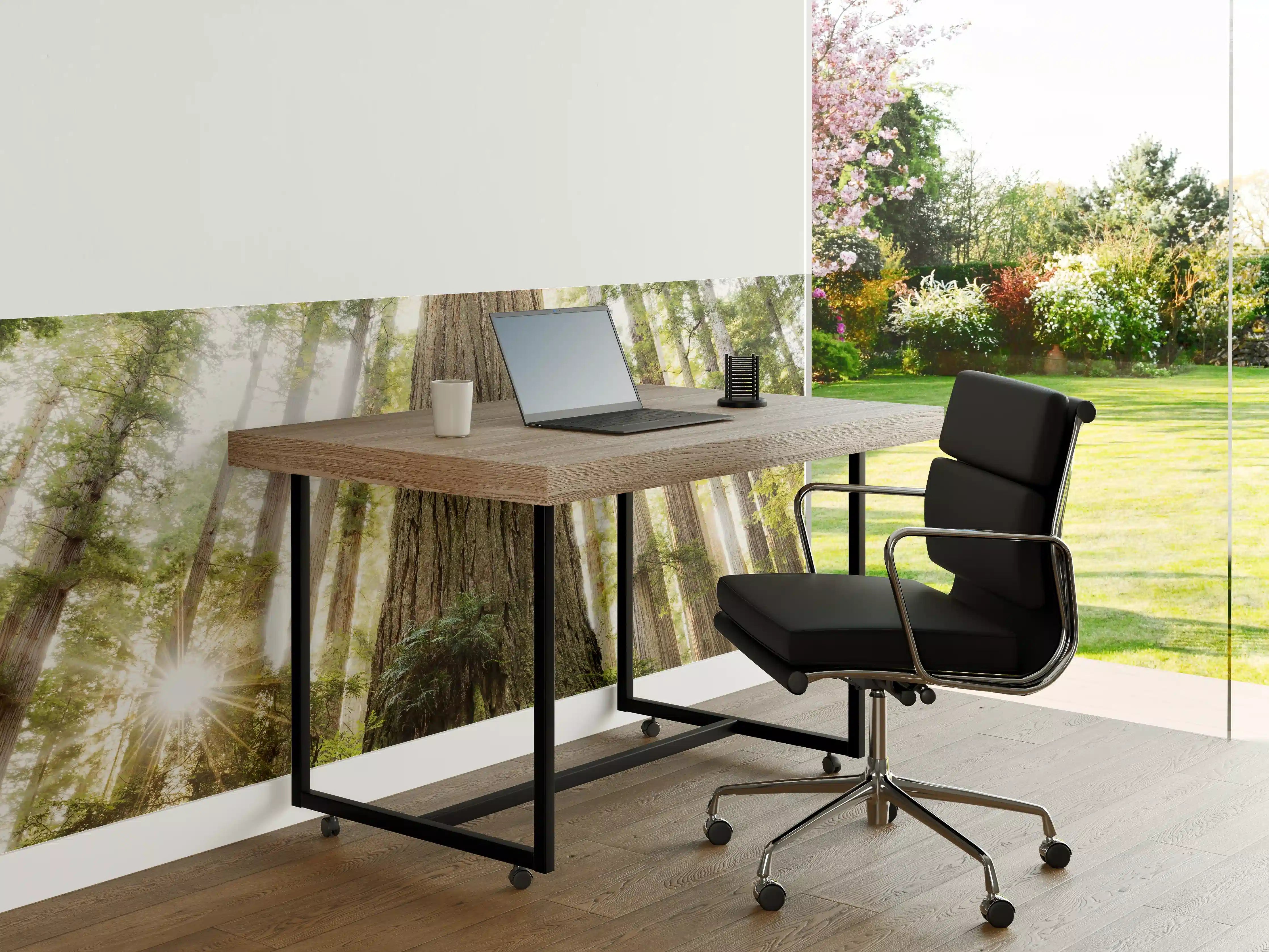 Büro Wandgestaltung - Sonnenstrahlen im Grünen Wald