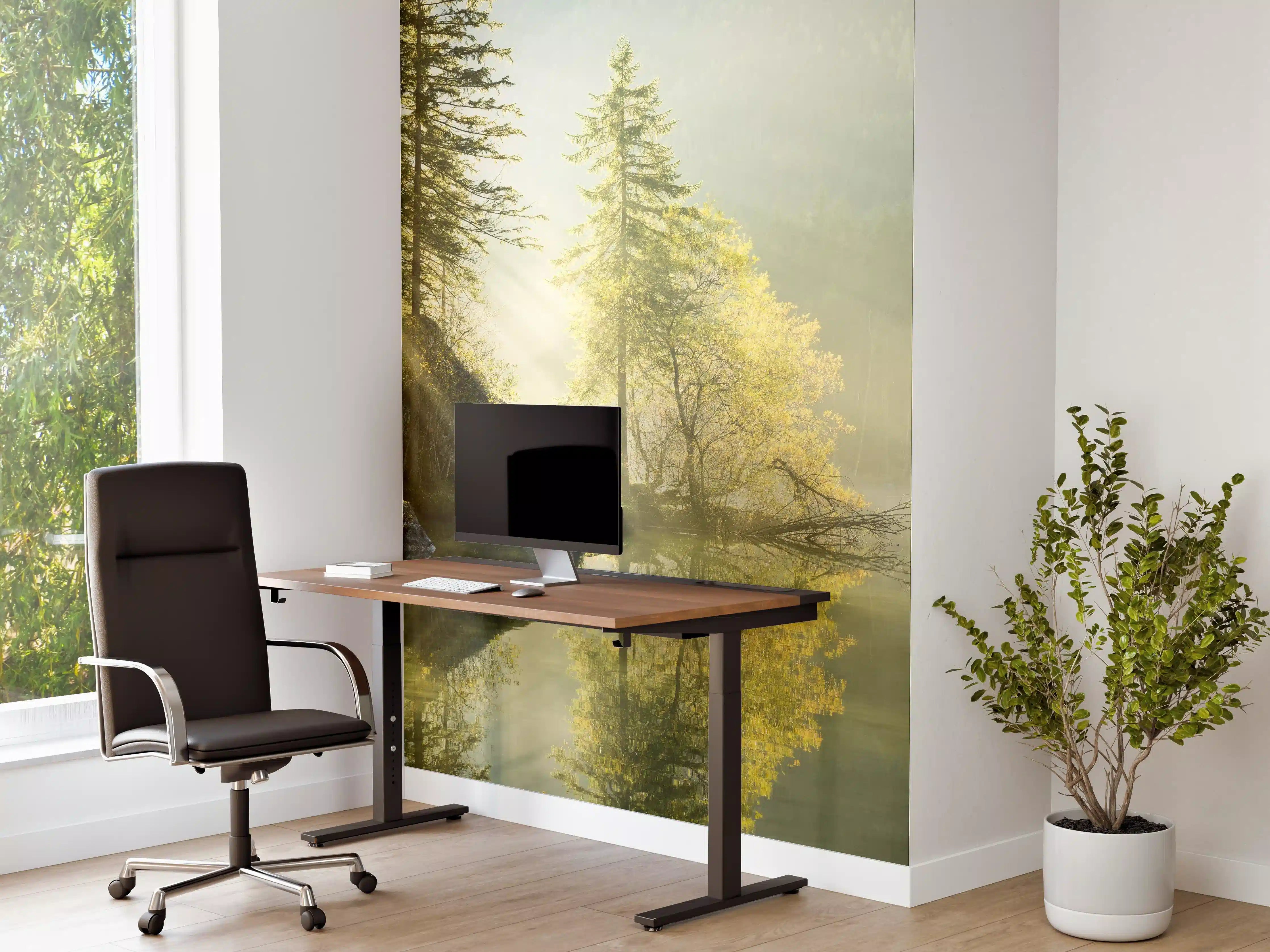 Büro Wandgestaltung - Sonnenstrahlen im See