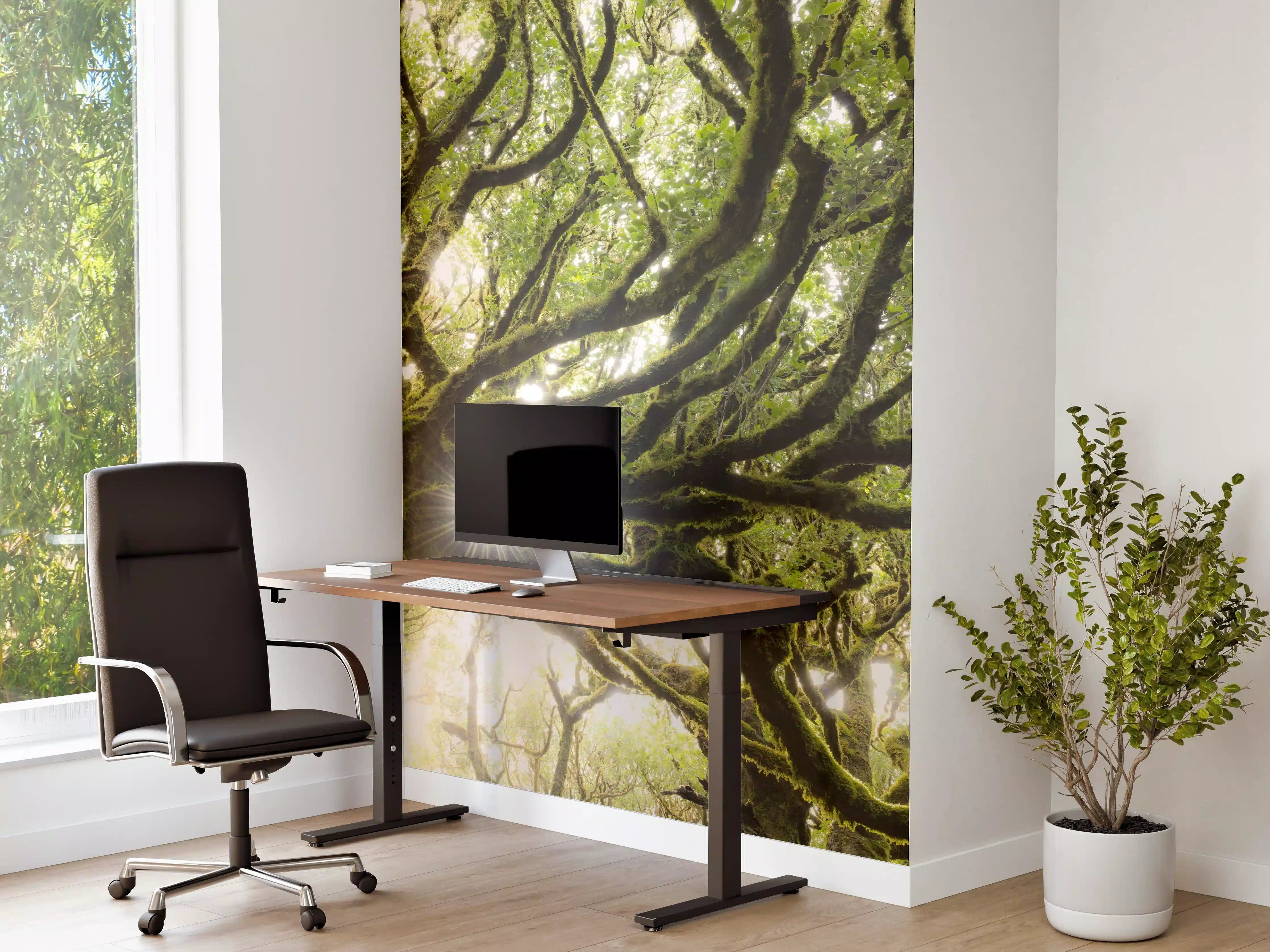 Büro Wandgestaltung - Sonnenstrahlen im Wald