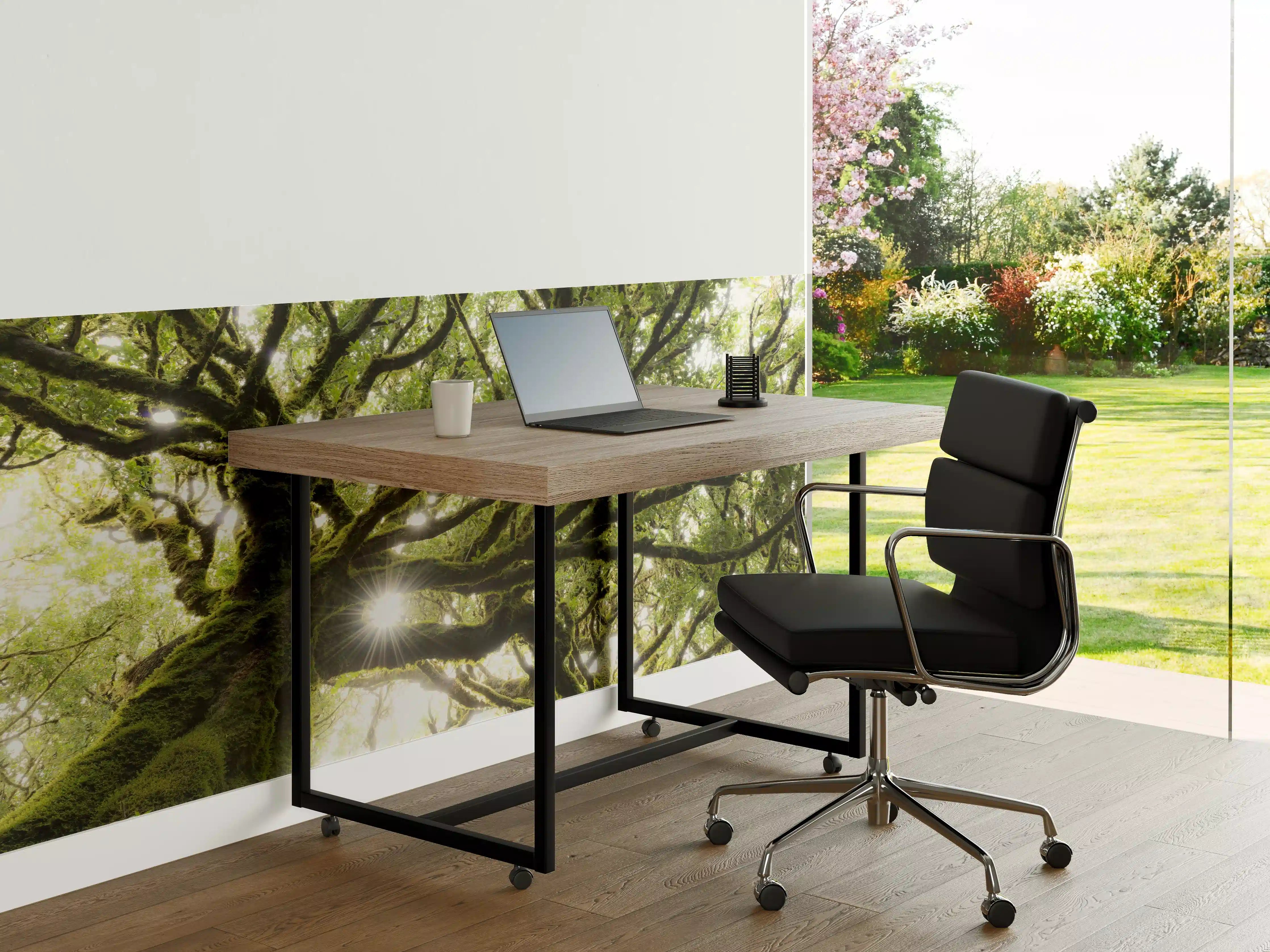 Büro Wandgestaltung - Sonnenstrahlen im Wald