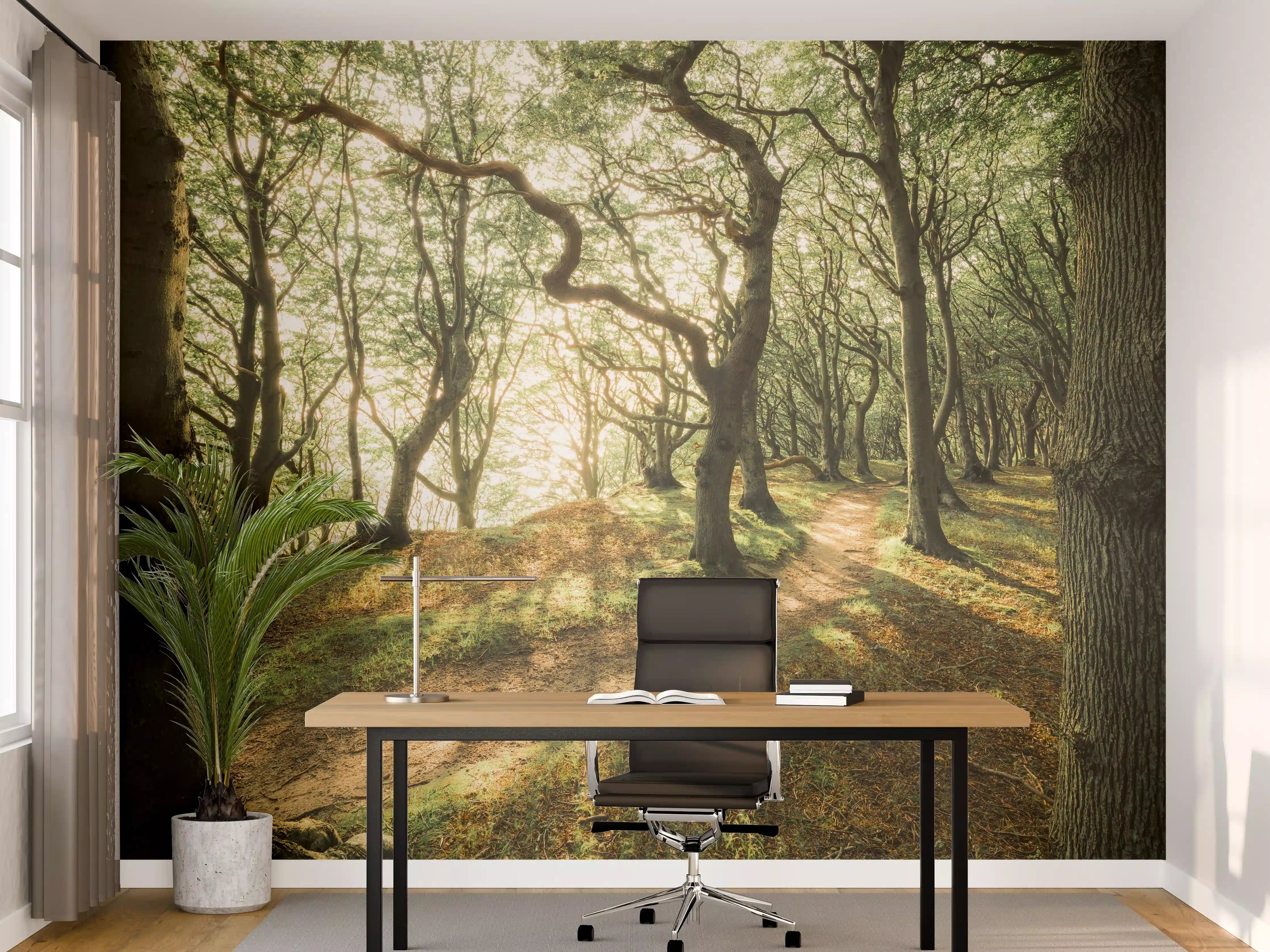 Büro Wandgestaltung - Sonnenstrahlen im Waldweg