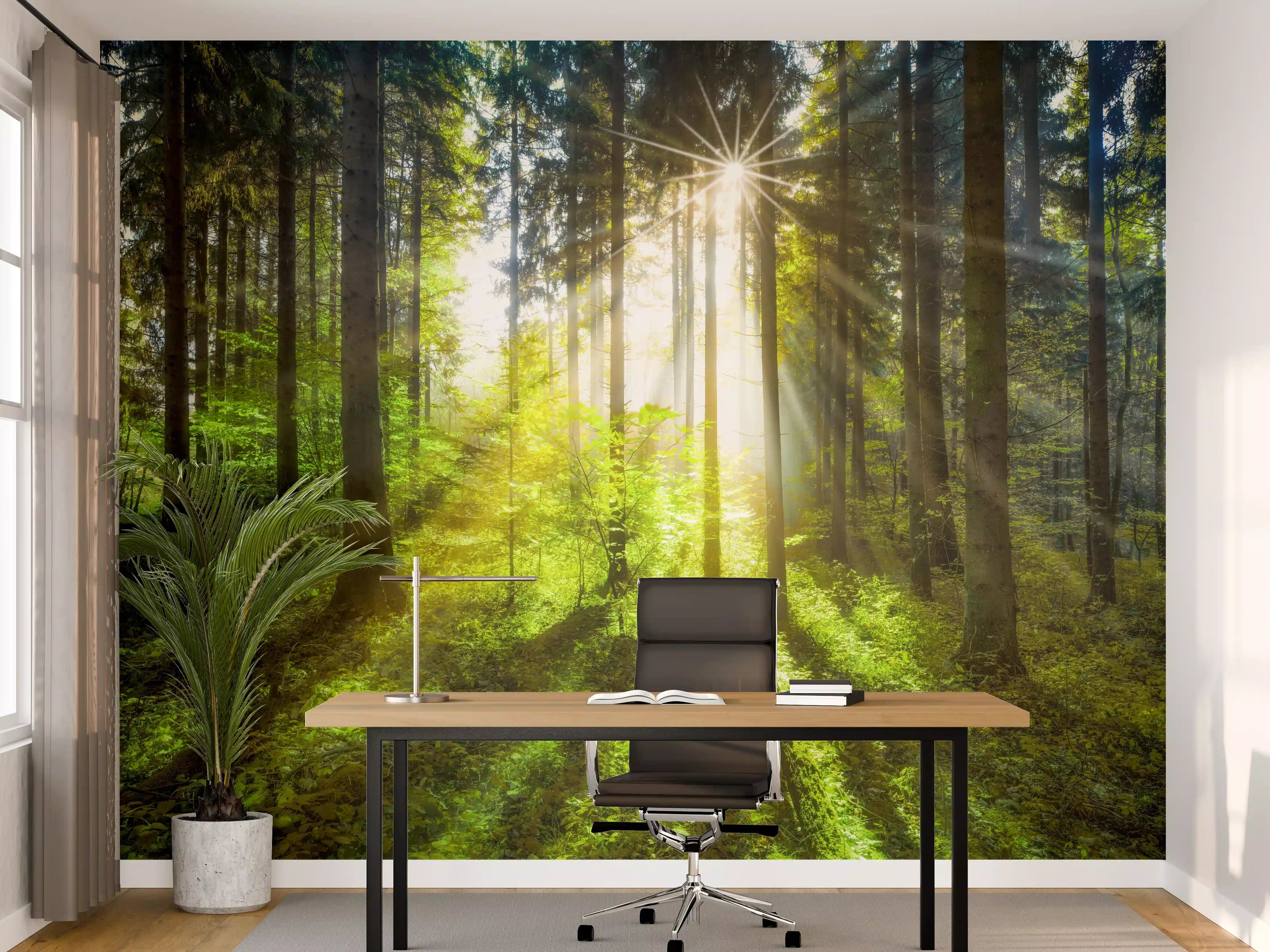 Büro Wandgestaltung - Sonnenstrahlen im lebendigem Wald 