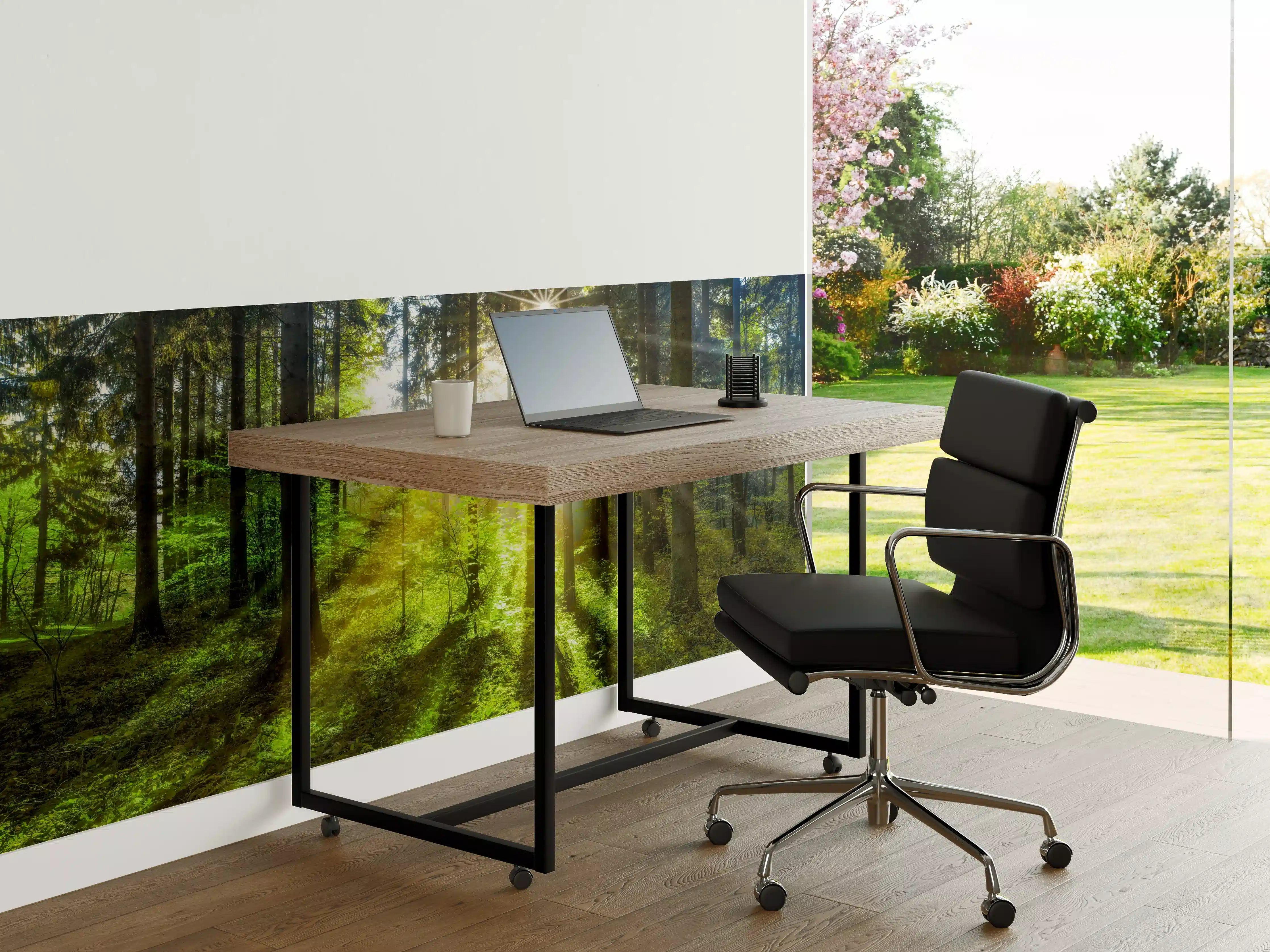 Büro Wandgestaltung - Sonnenstrahlen im lebendigem Wald 