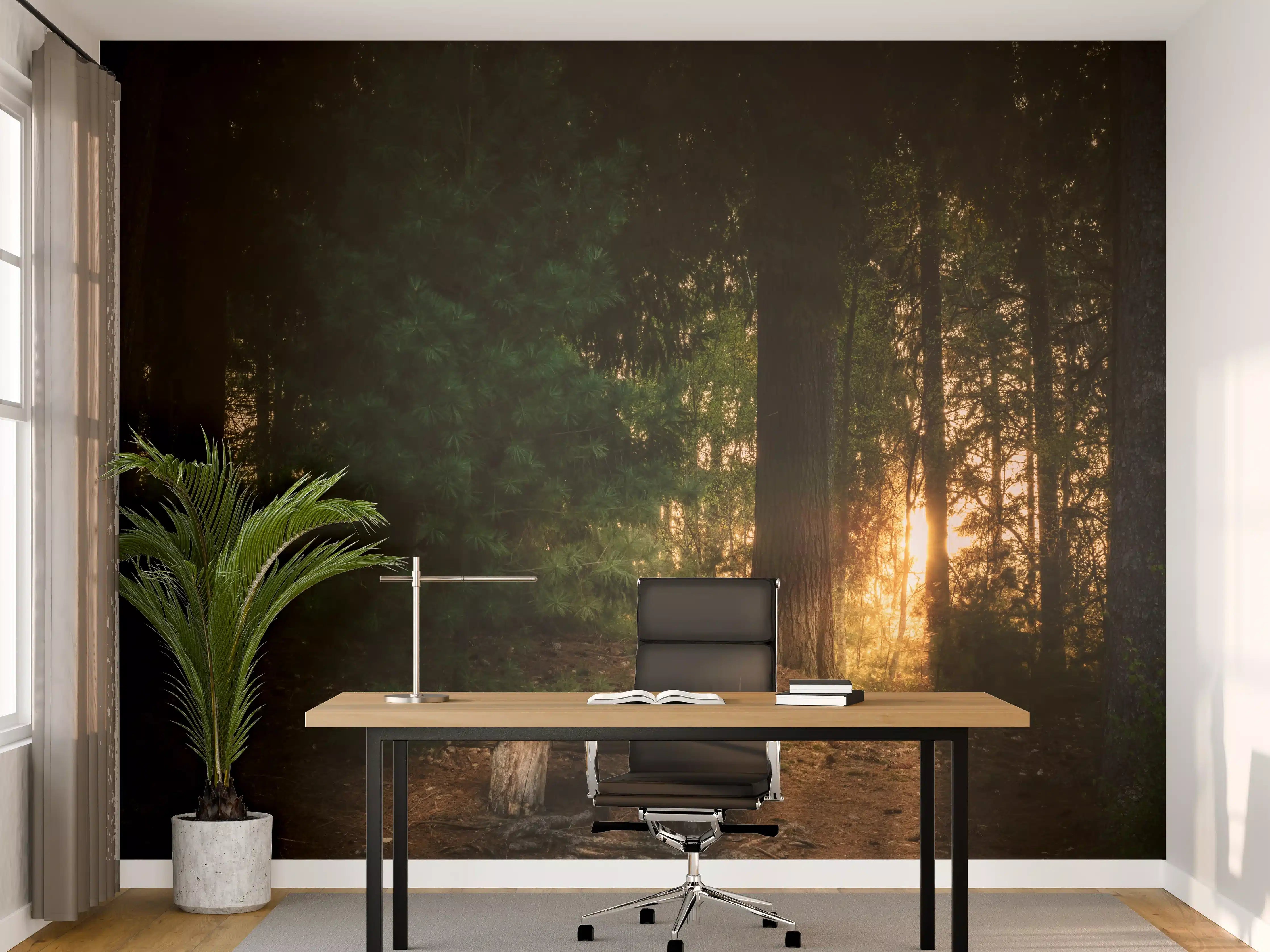 Büro Wandgestaltung - Sonnenuntergang im Wald - Lüneburger Heide