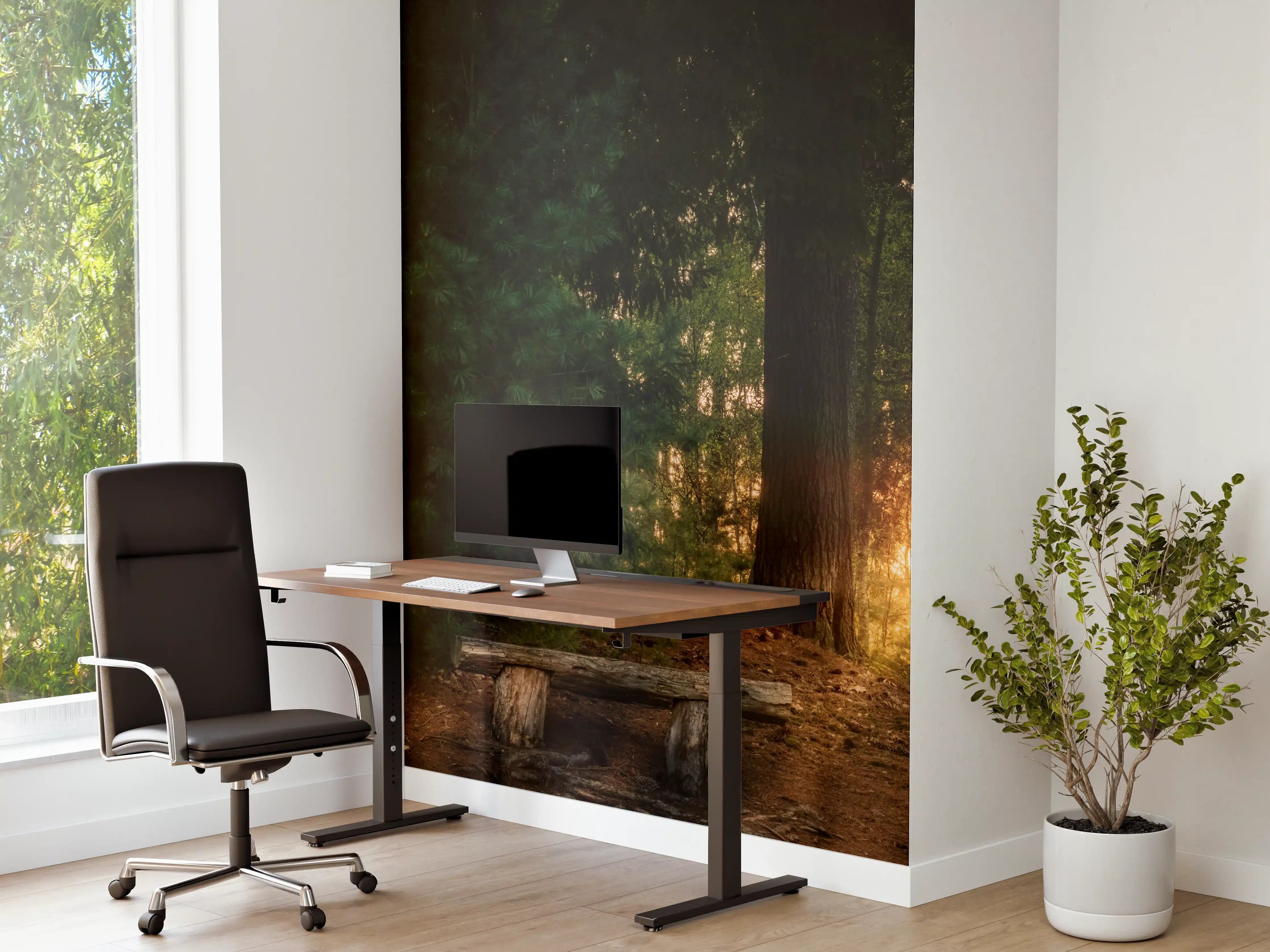Büro Wandgestaltung - Sonnenuntergang im Wald - Lüneburger Heide