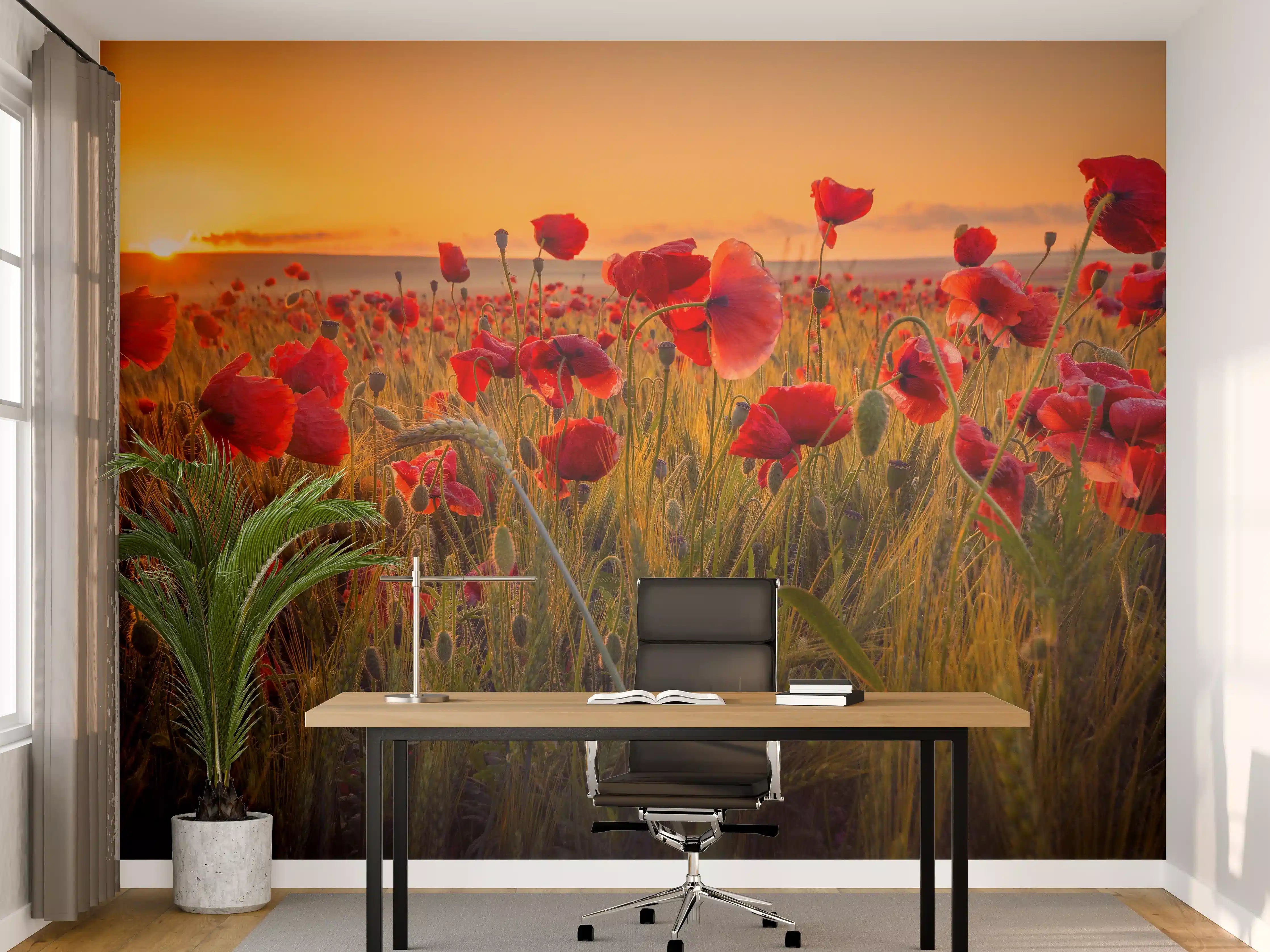 Büro Wandgestaltung - Sonnenuntergang über Mohnblumenwiese