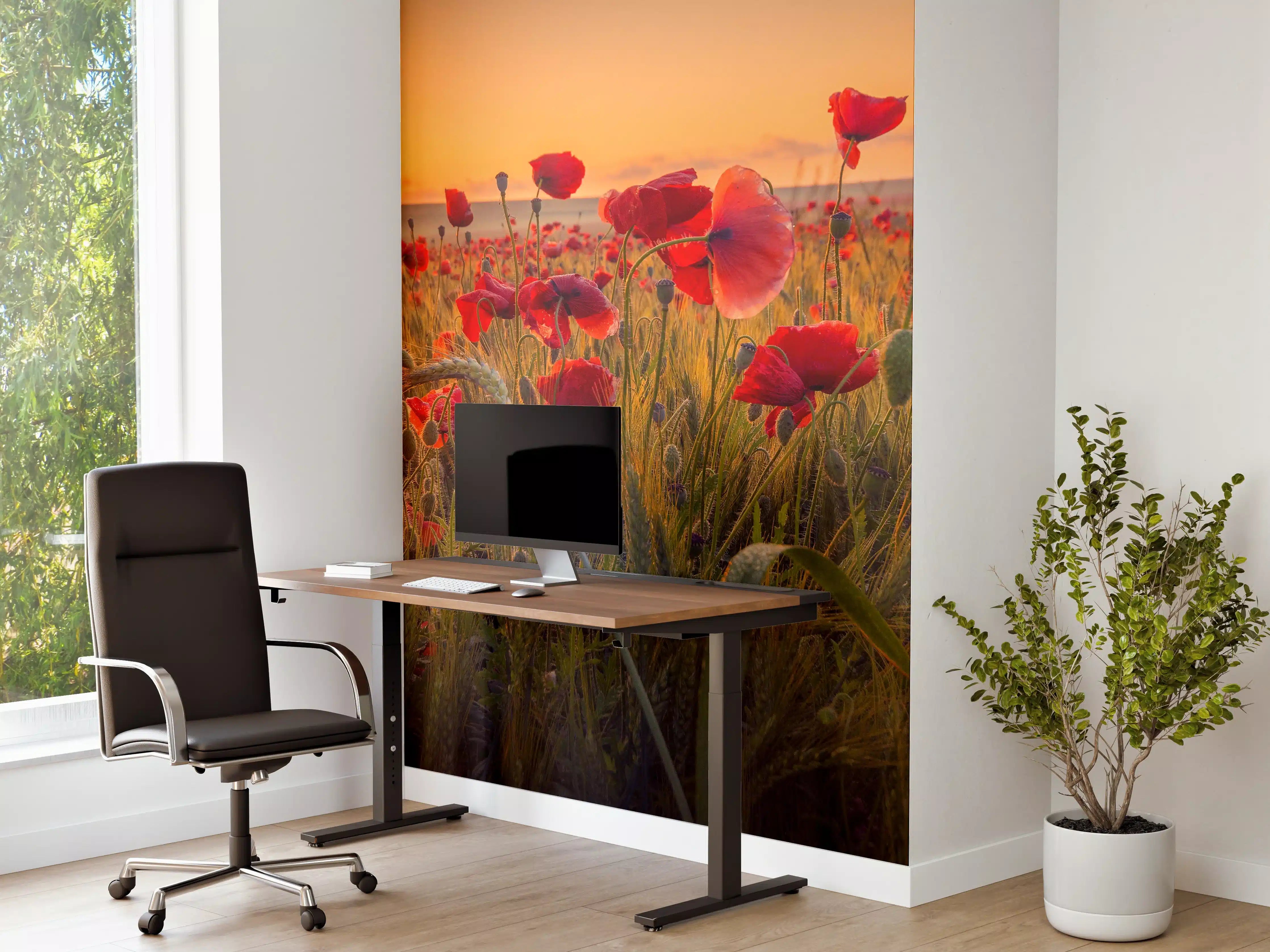 Büro Wandgestaltung - Sonnenuntergang über Mohnblumenwiese