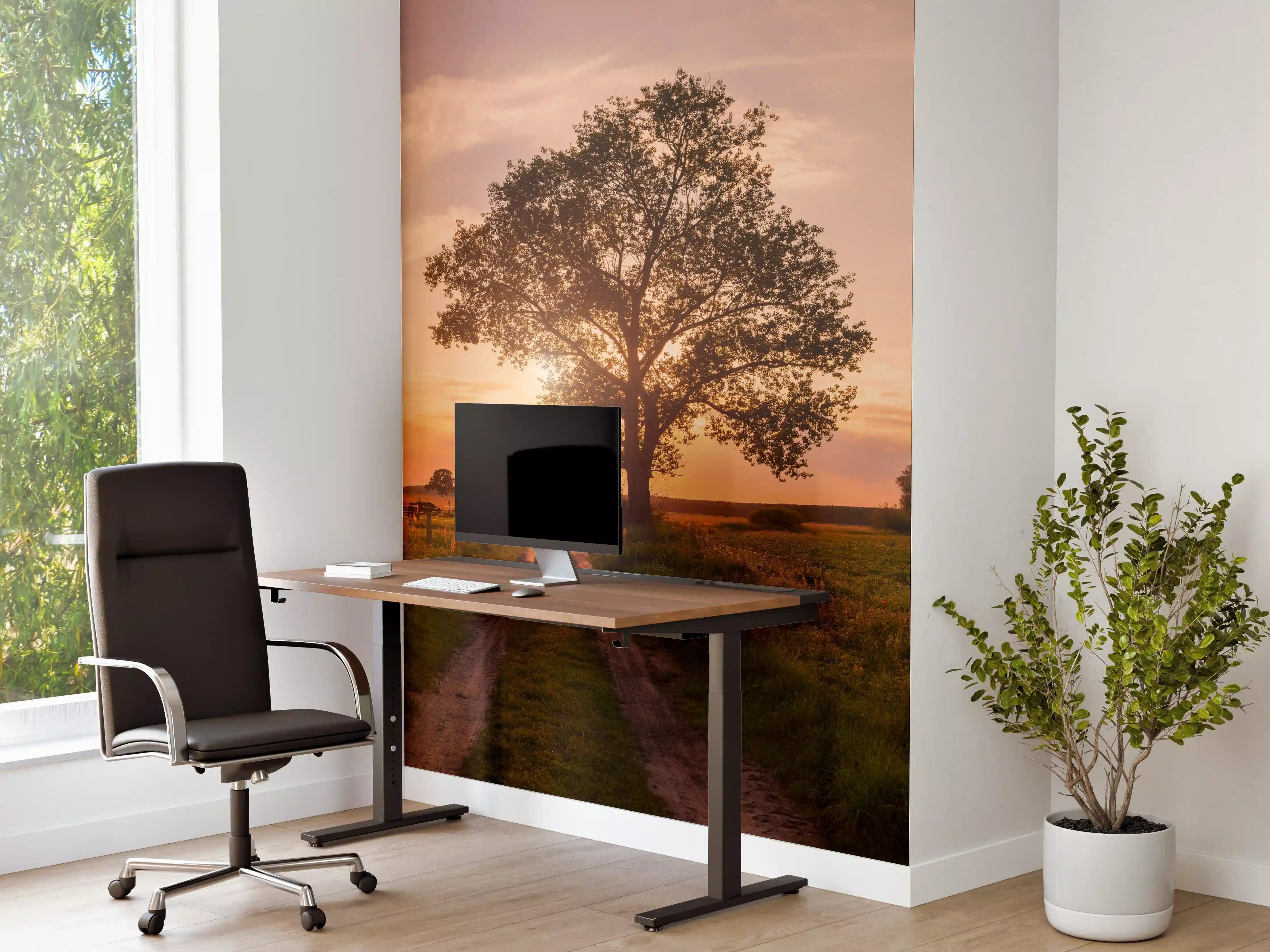 Büro Wandgestaltung - Sonnenuntergang über der ländlichen Landschaft