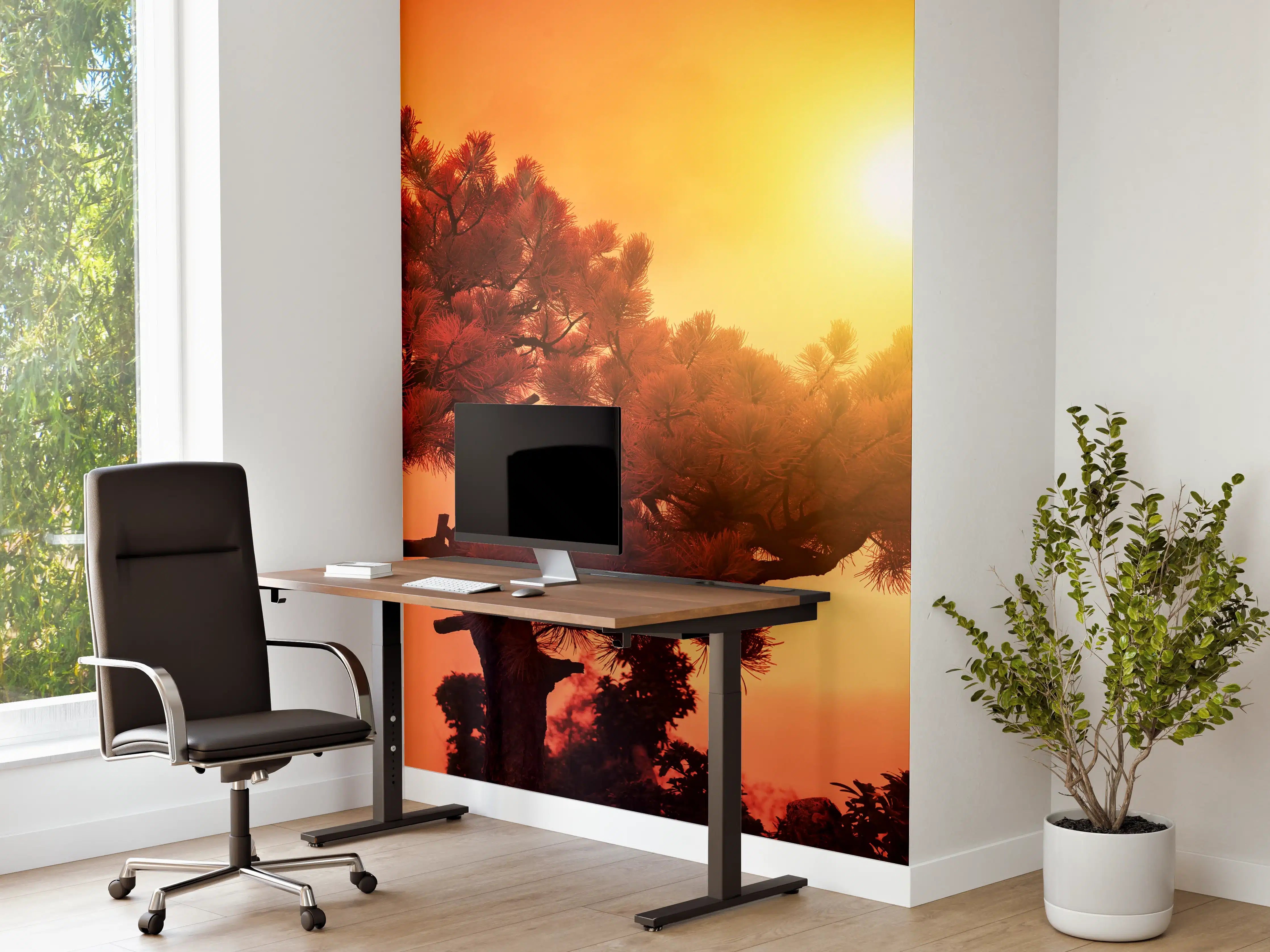 Büro Wandgestaltung - Sonnenuntergang über einem Baum mit warmen Farbtönen