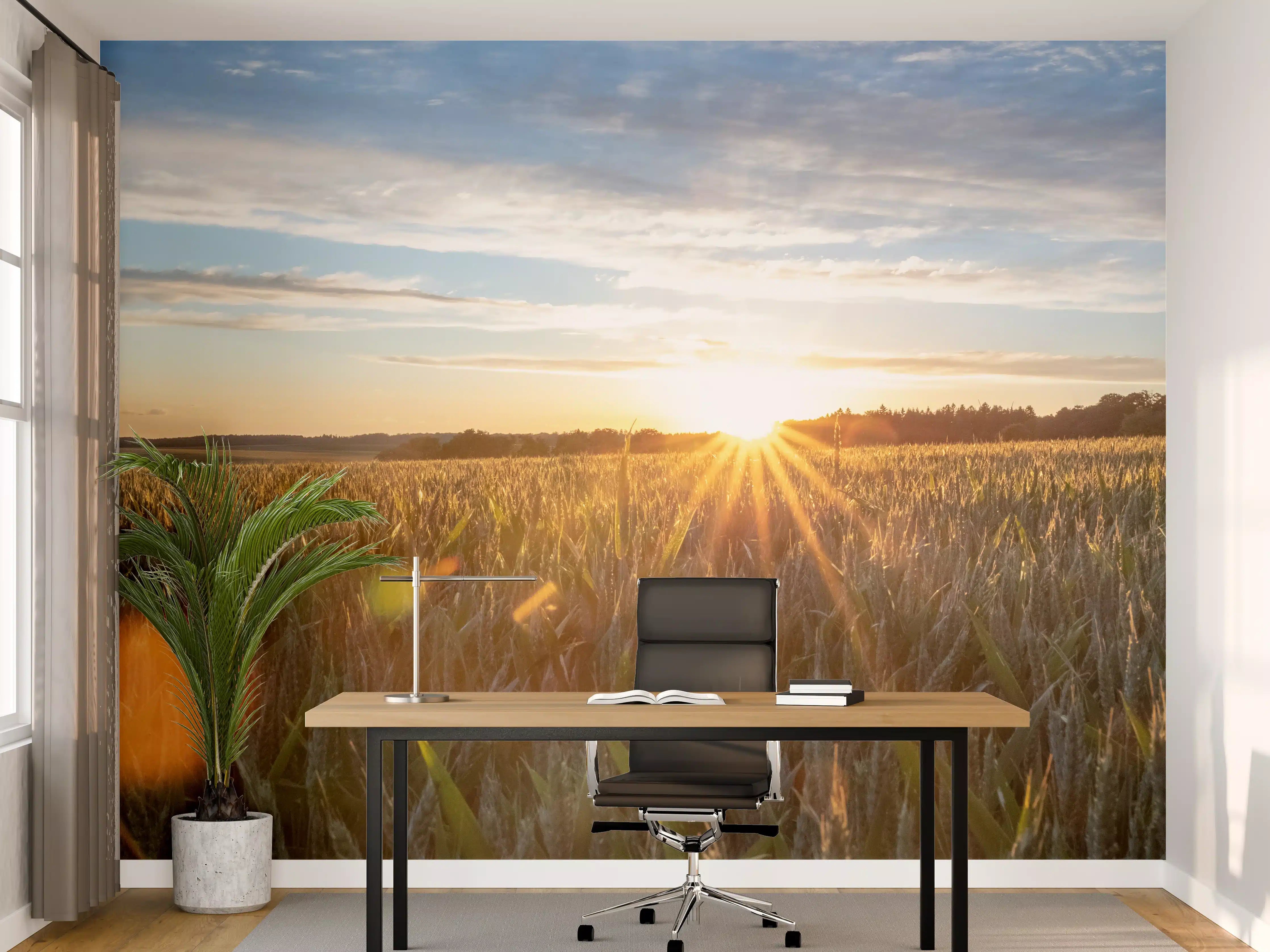Büro Wandgestaltung - Sonnenuntergang über einem Kornfeld