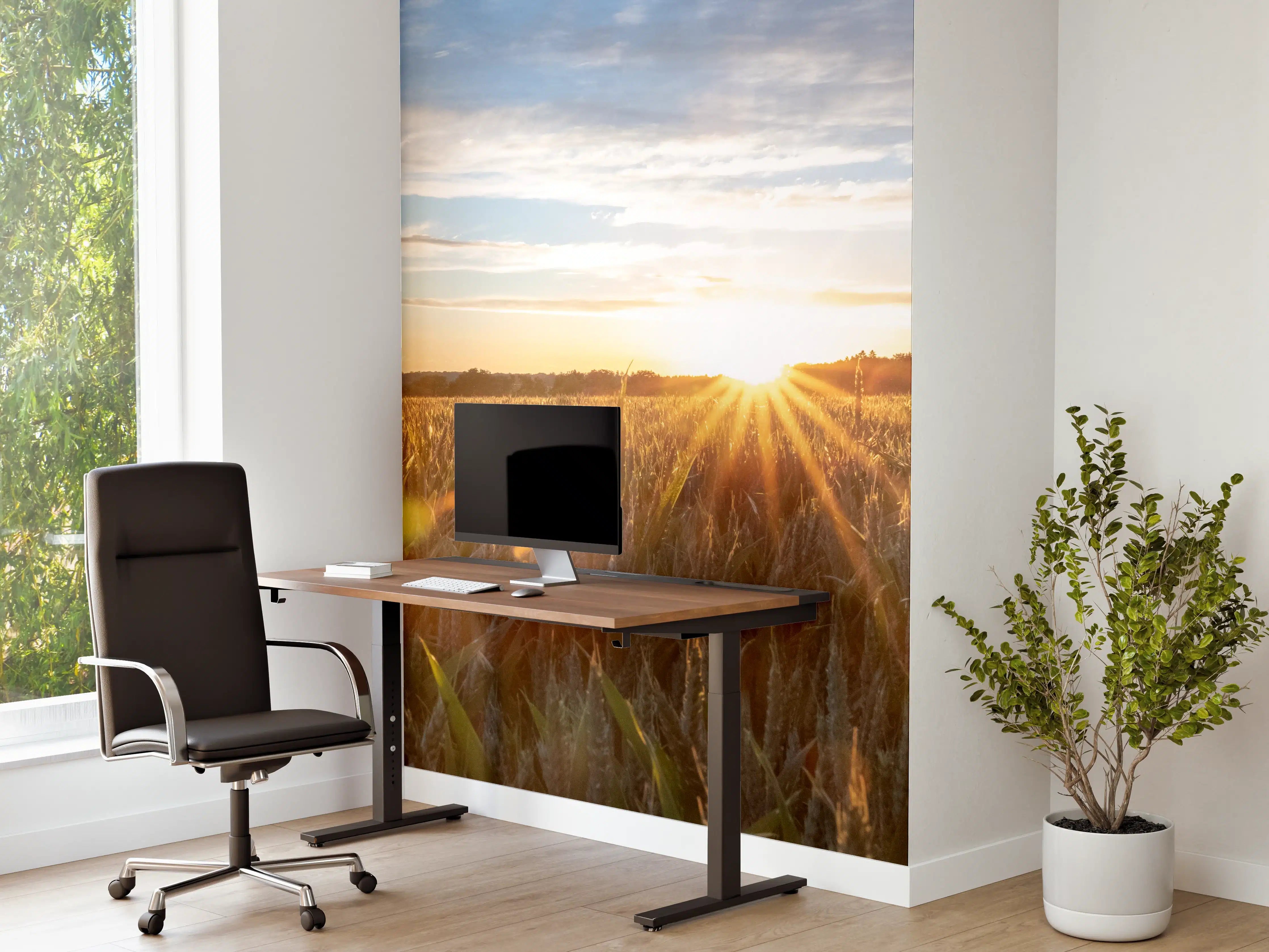 Büro Wandgestaltung - Sonnenuntergang über einem Kornfeld