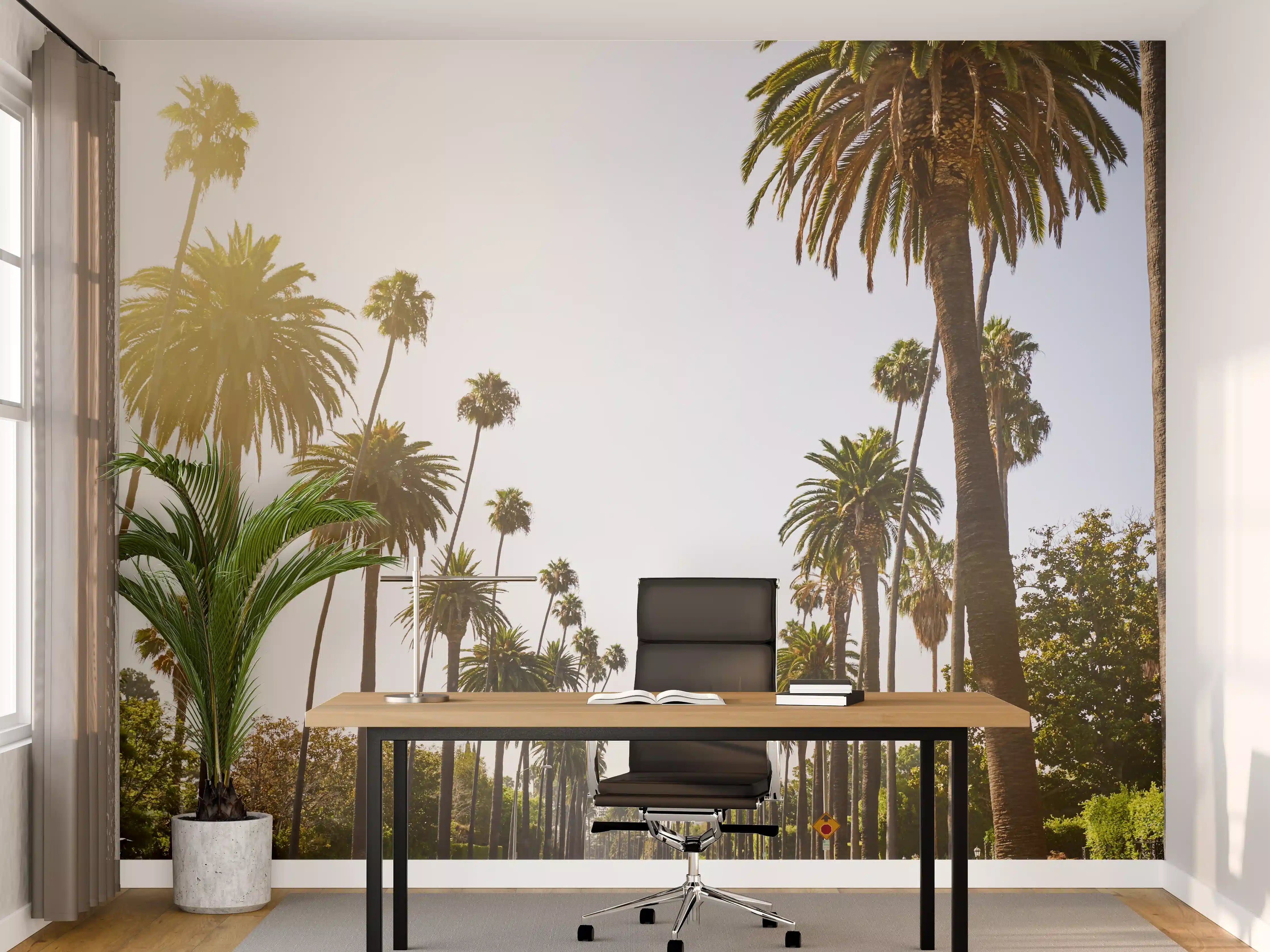 Büro Wandgestaltung - Sonniger Palmenhain im Sonnenlicht