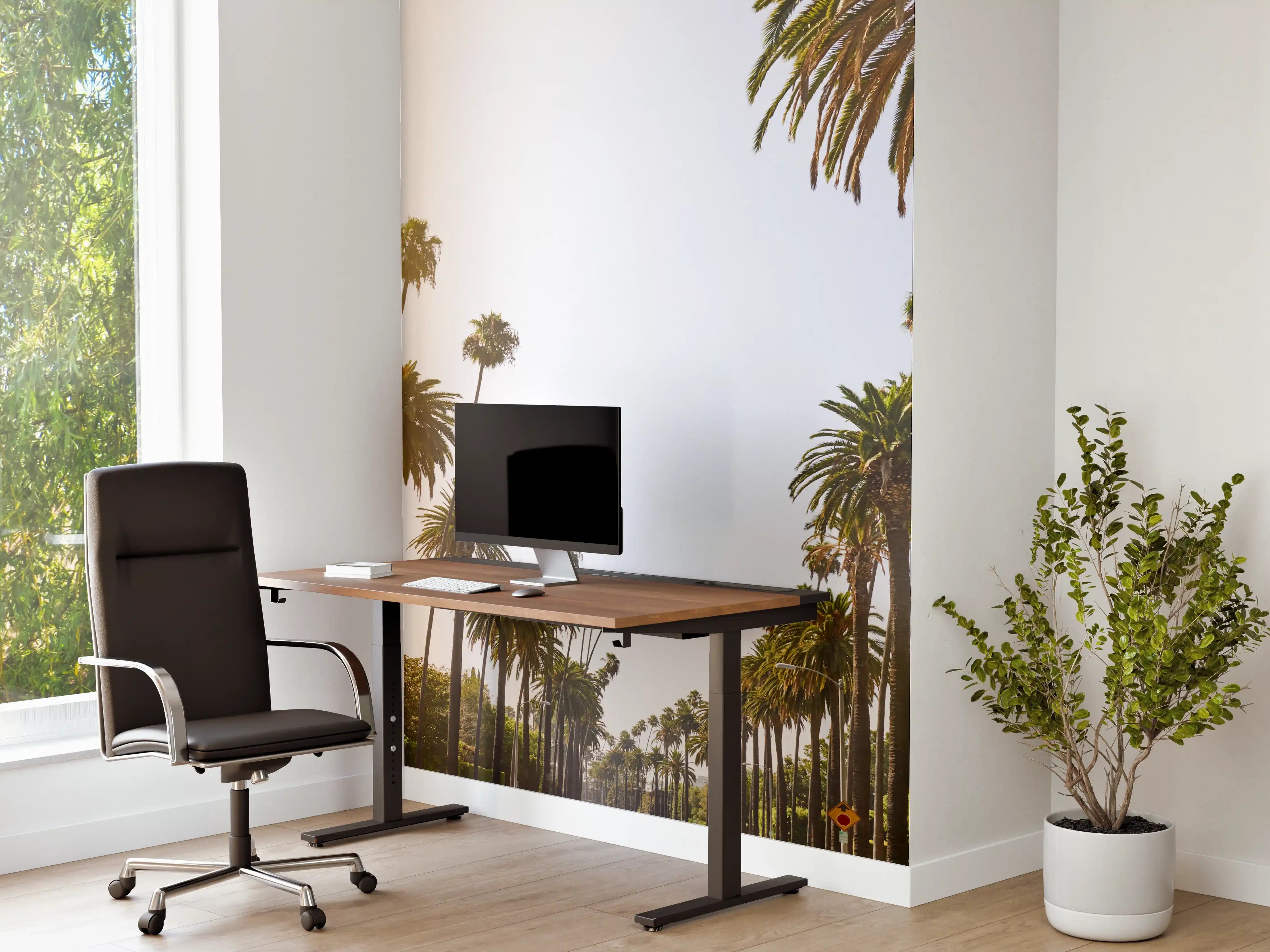 Büro Wandgestaltung - Sonniger Palmenhain im Sonnenlicht