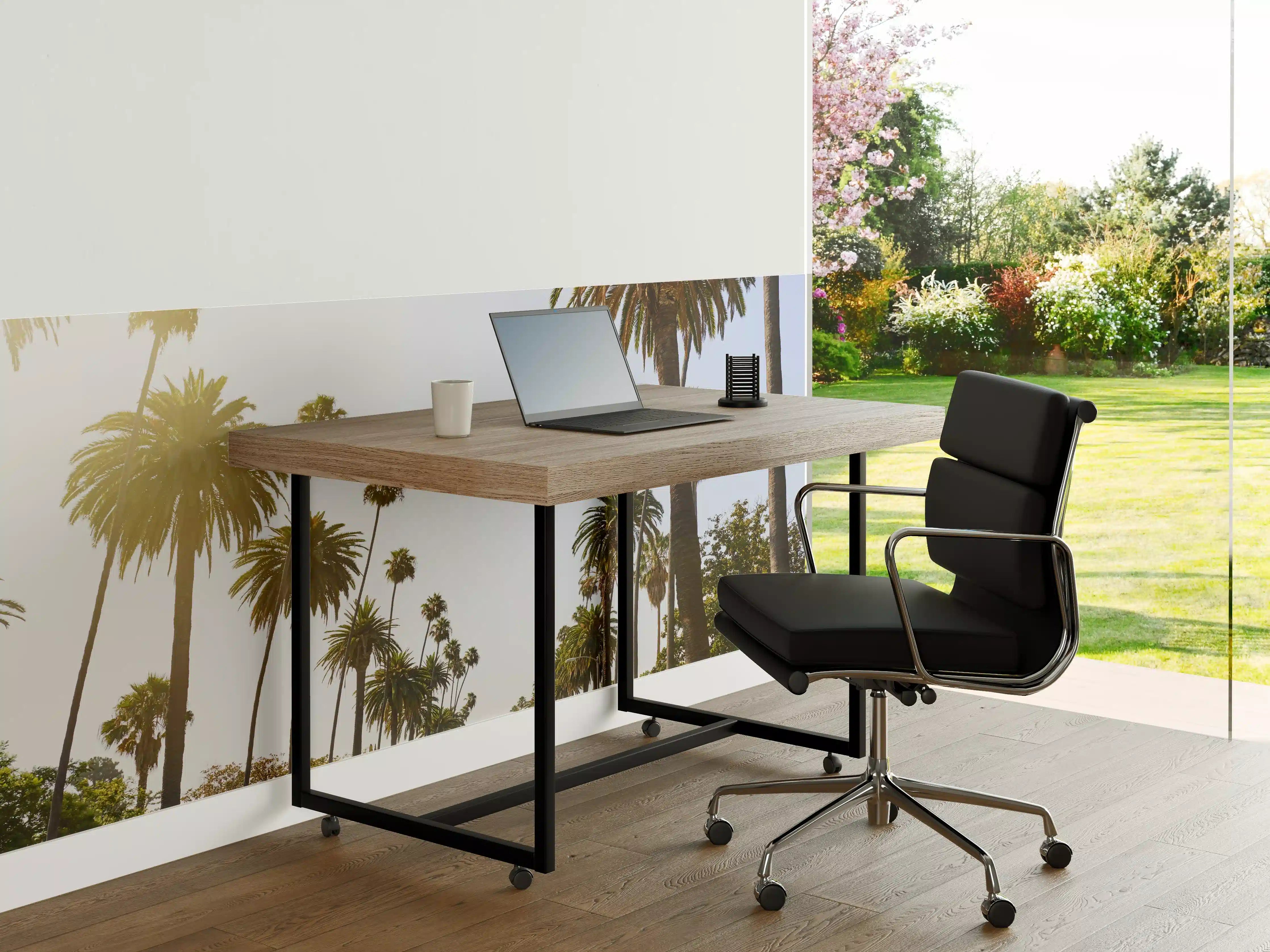 Büro Wandgestaltung - Sonniger Palmenhain im Sonnenlicht