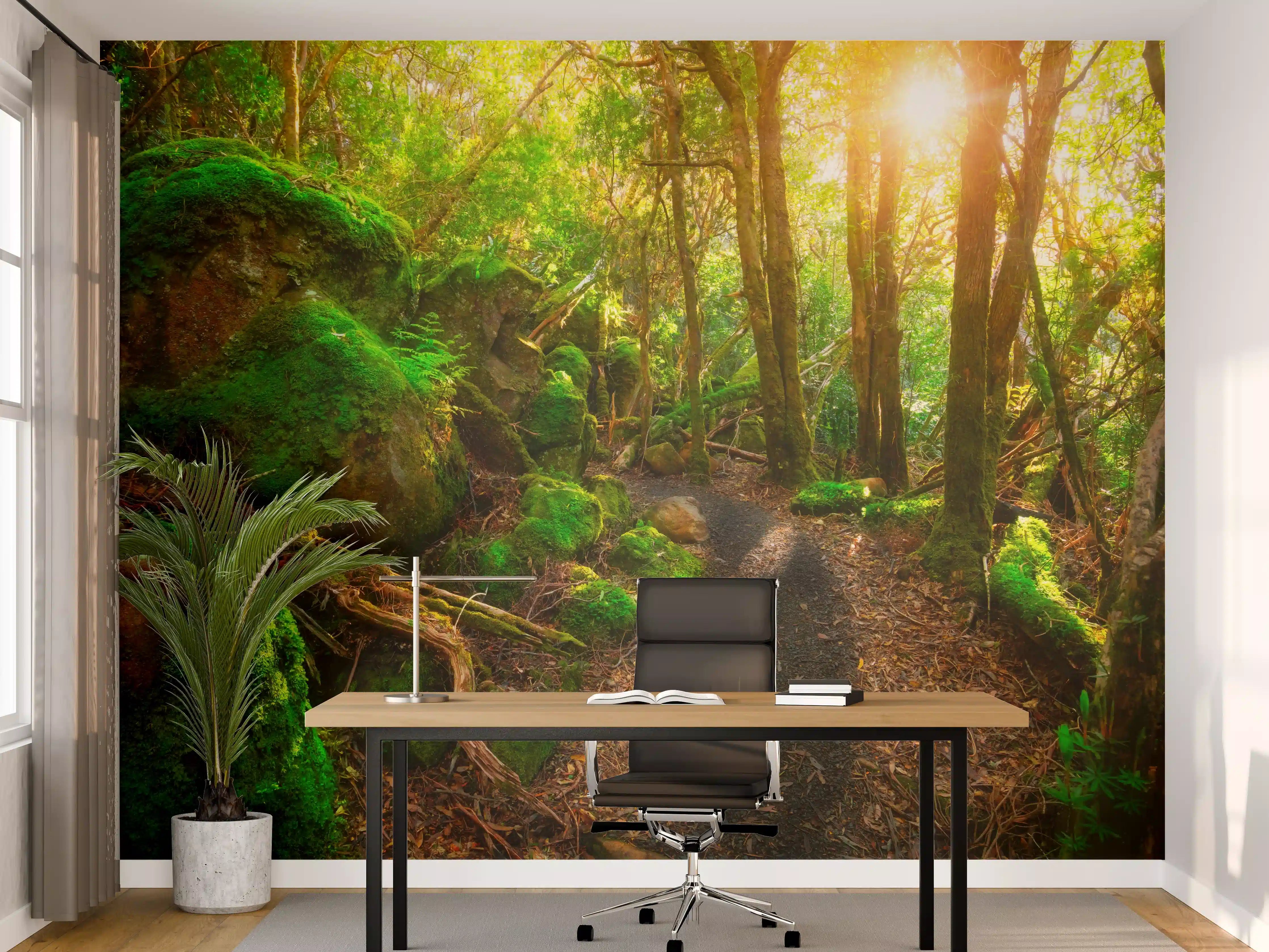 Büro Wandgestaltung - Sonniger Wald in Tasmanien