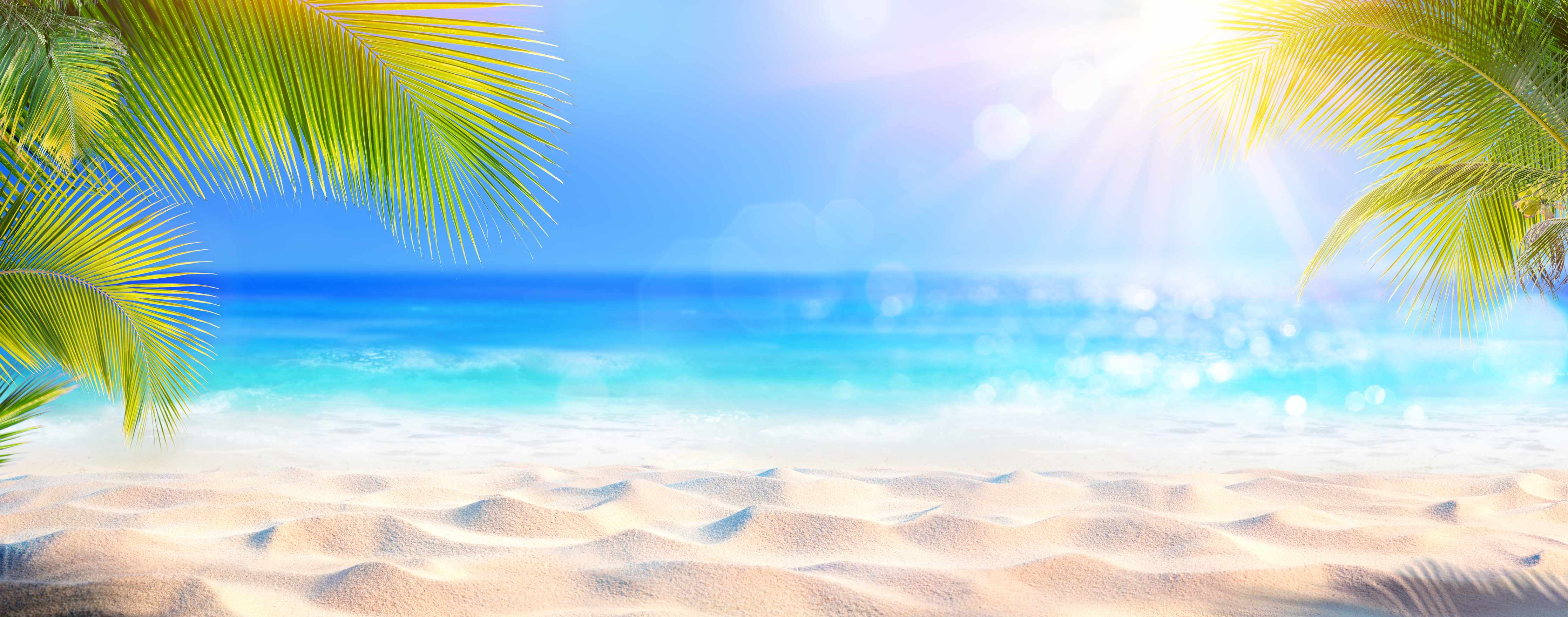 Büro Wandgestaltung-Sonniger tropischer Strand