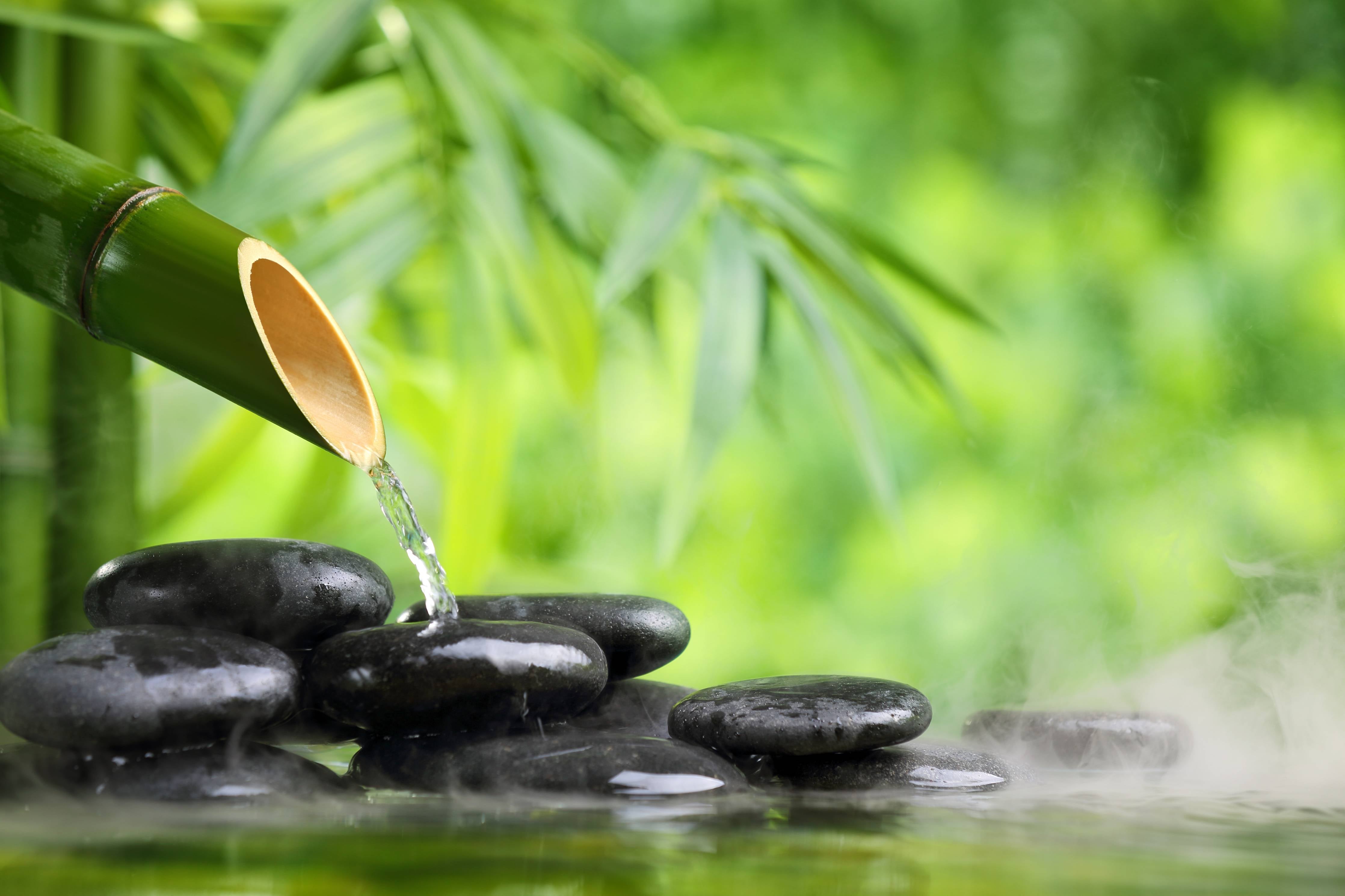Büro Wandgestaltung-Spa-Stillleben mit Bambusbrunnen