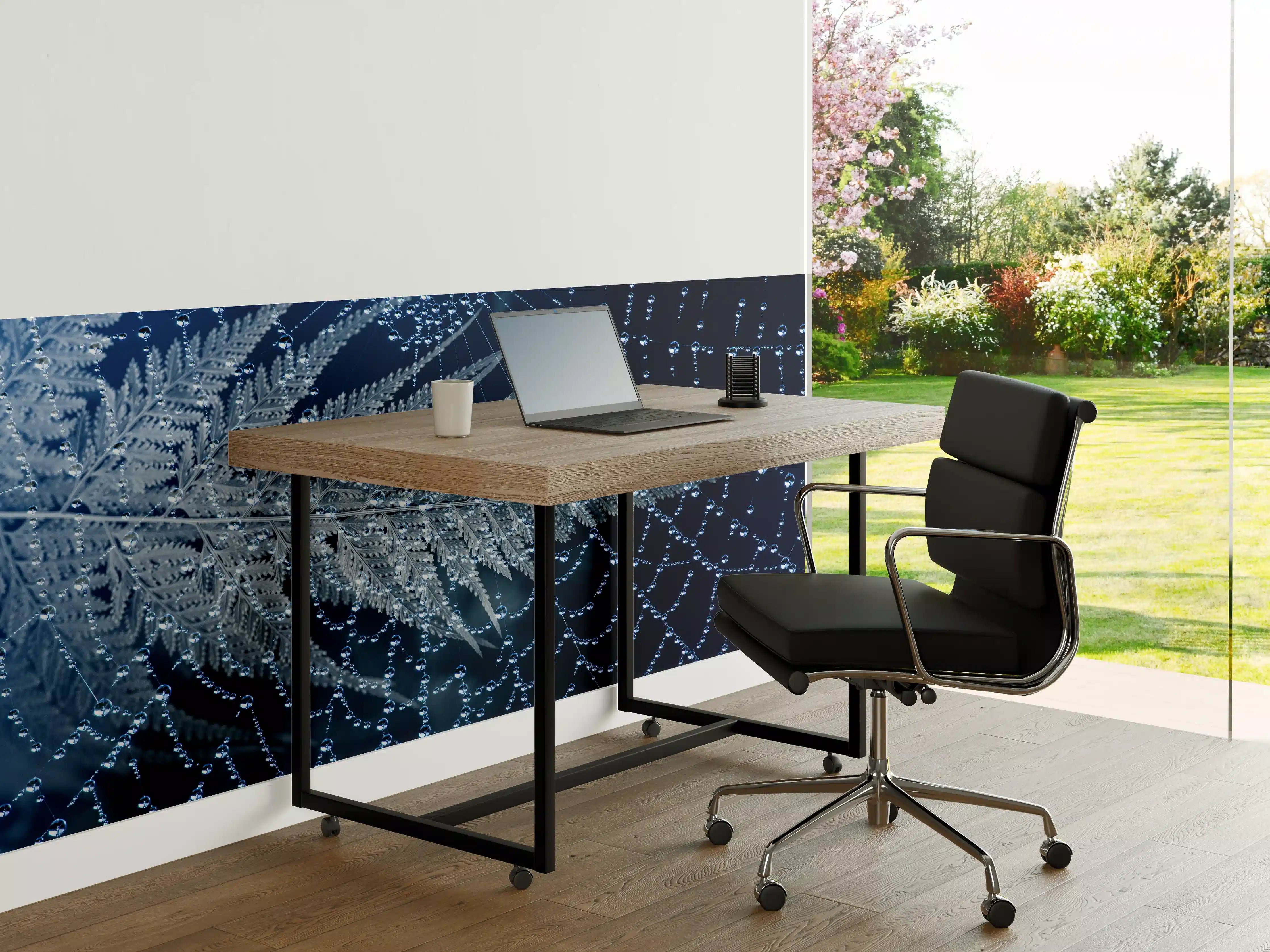 Büro Wandgestaltung - Spinnennetz Tau Morgengrauen