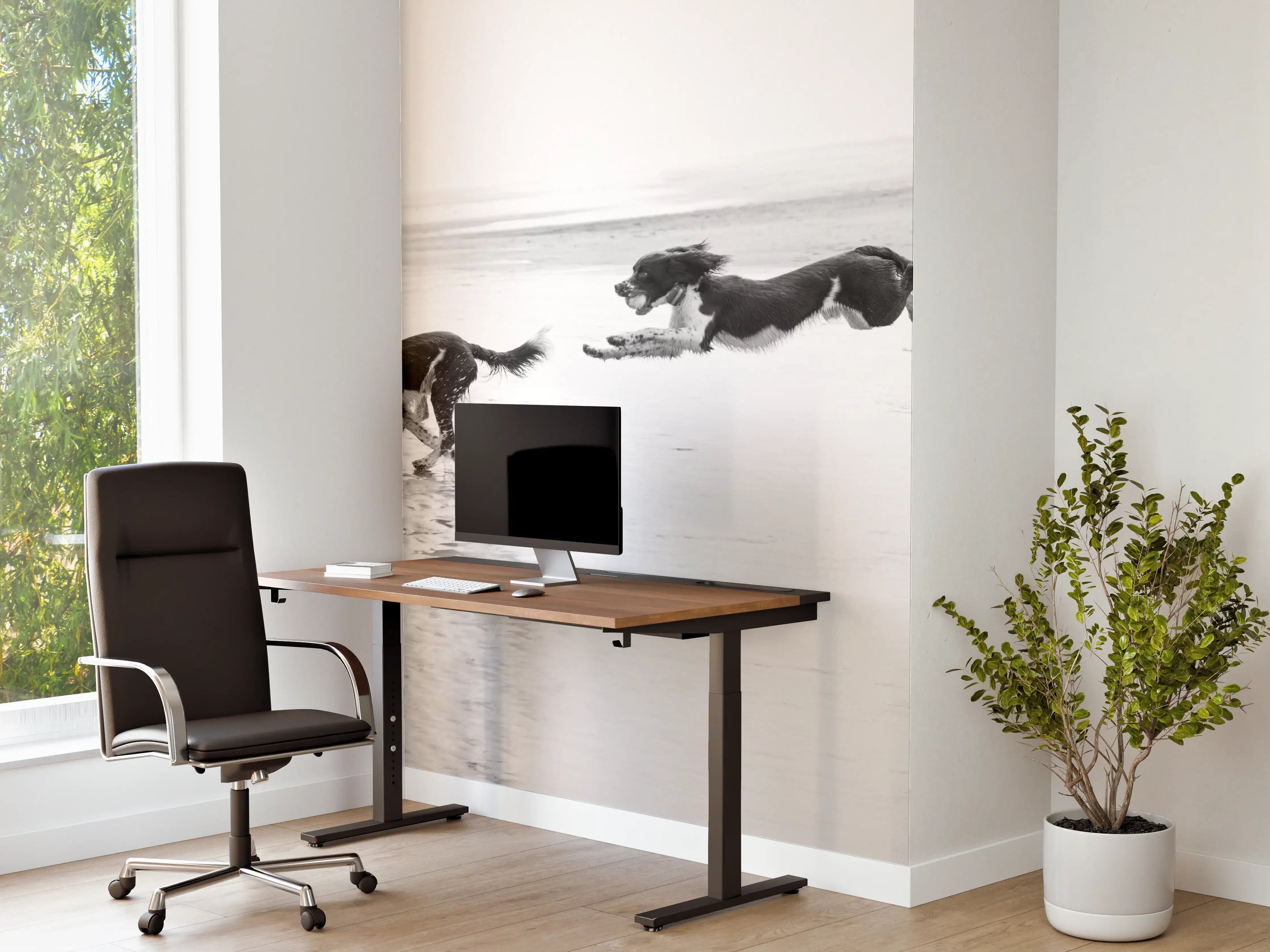 Büro Wandgestaltung - Springer Spaniel beim springen