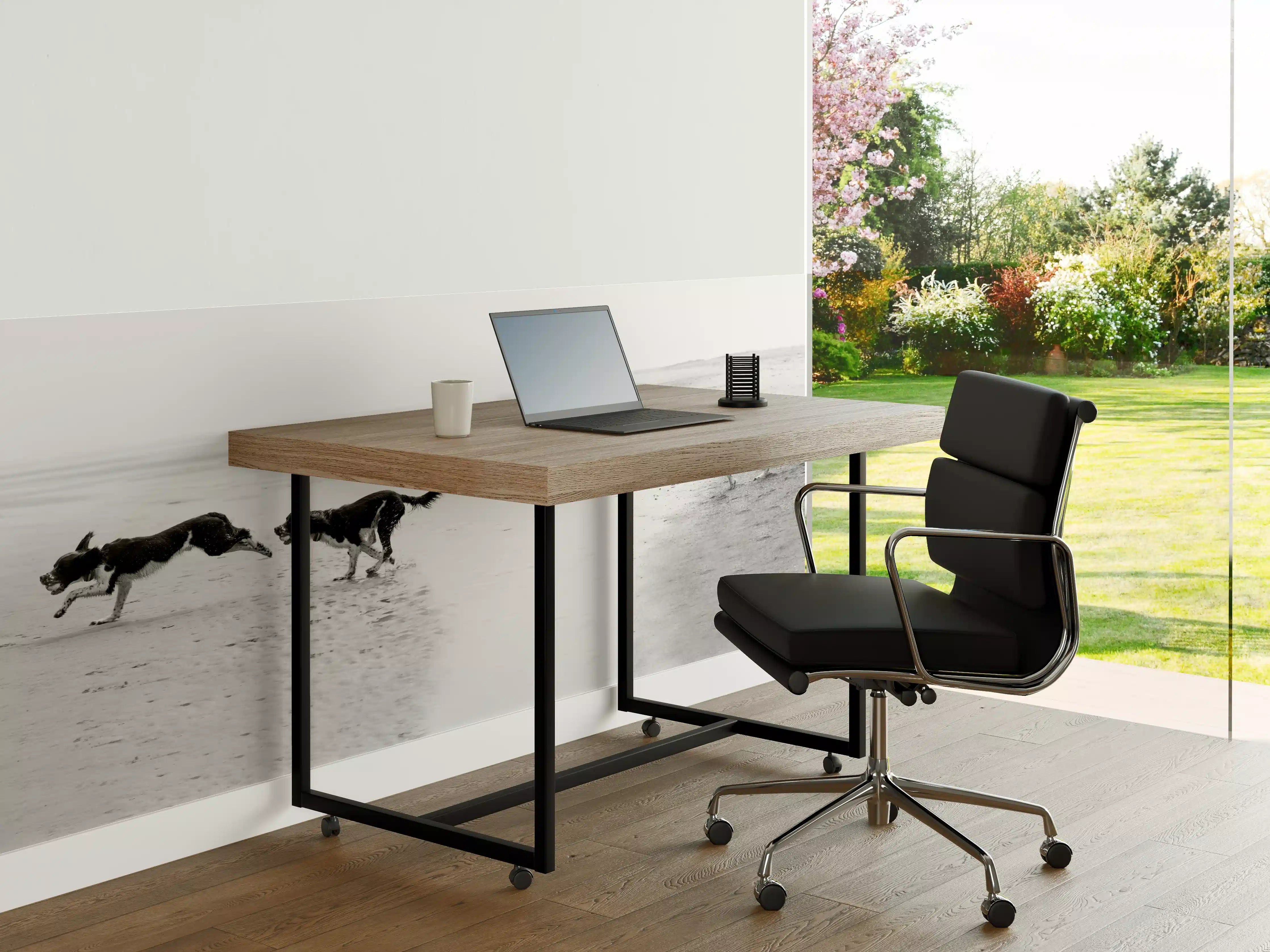 Büro Wandgestaltung - Springer Spaniel beim springen