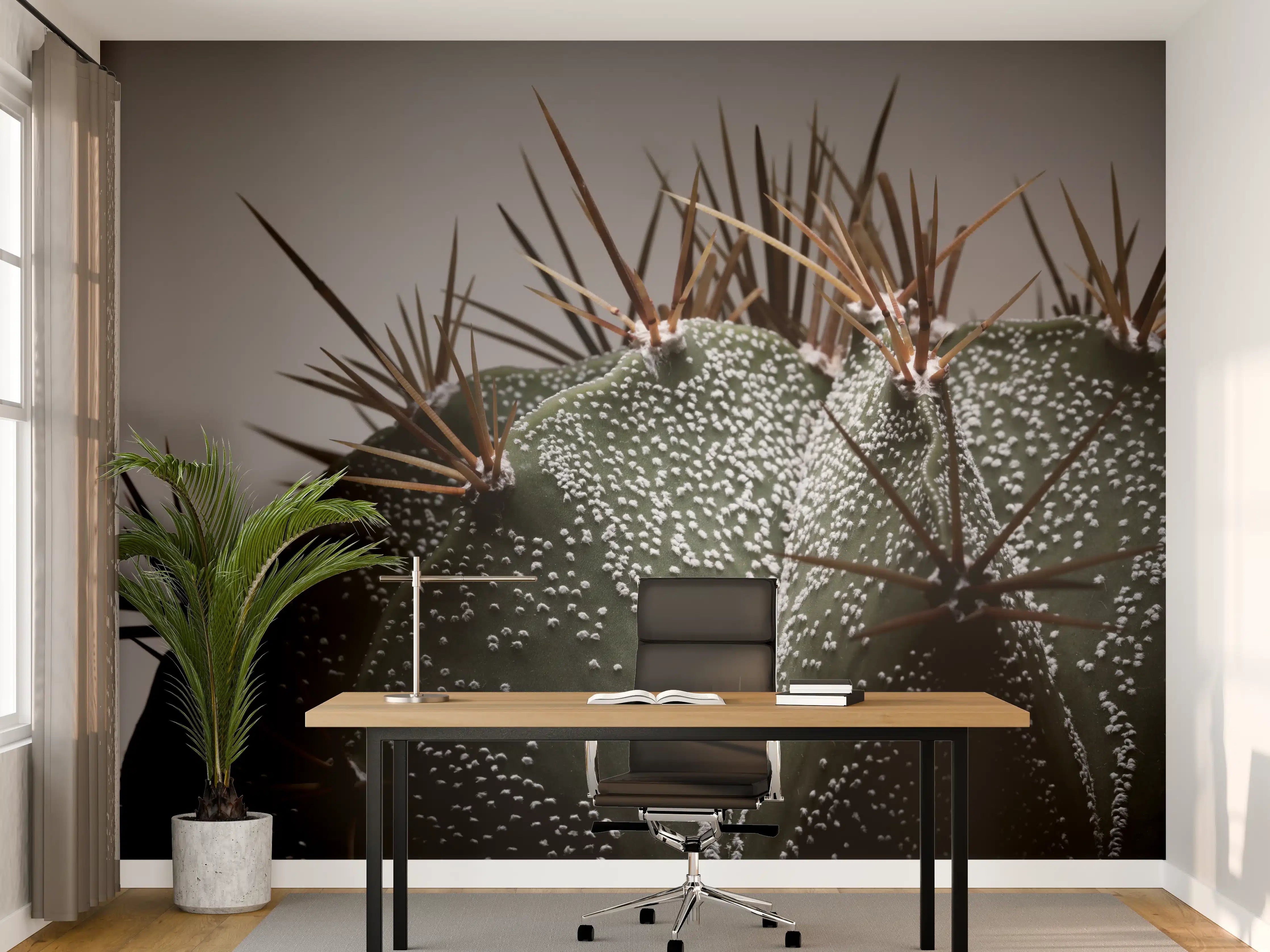 Büro Wandgestaltung - Stacheliger Sternenkaktus