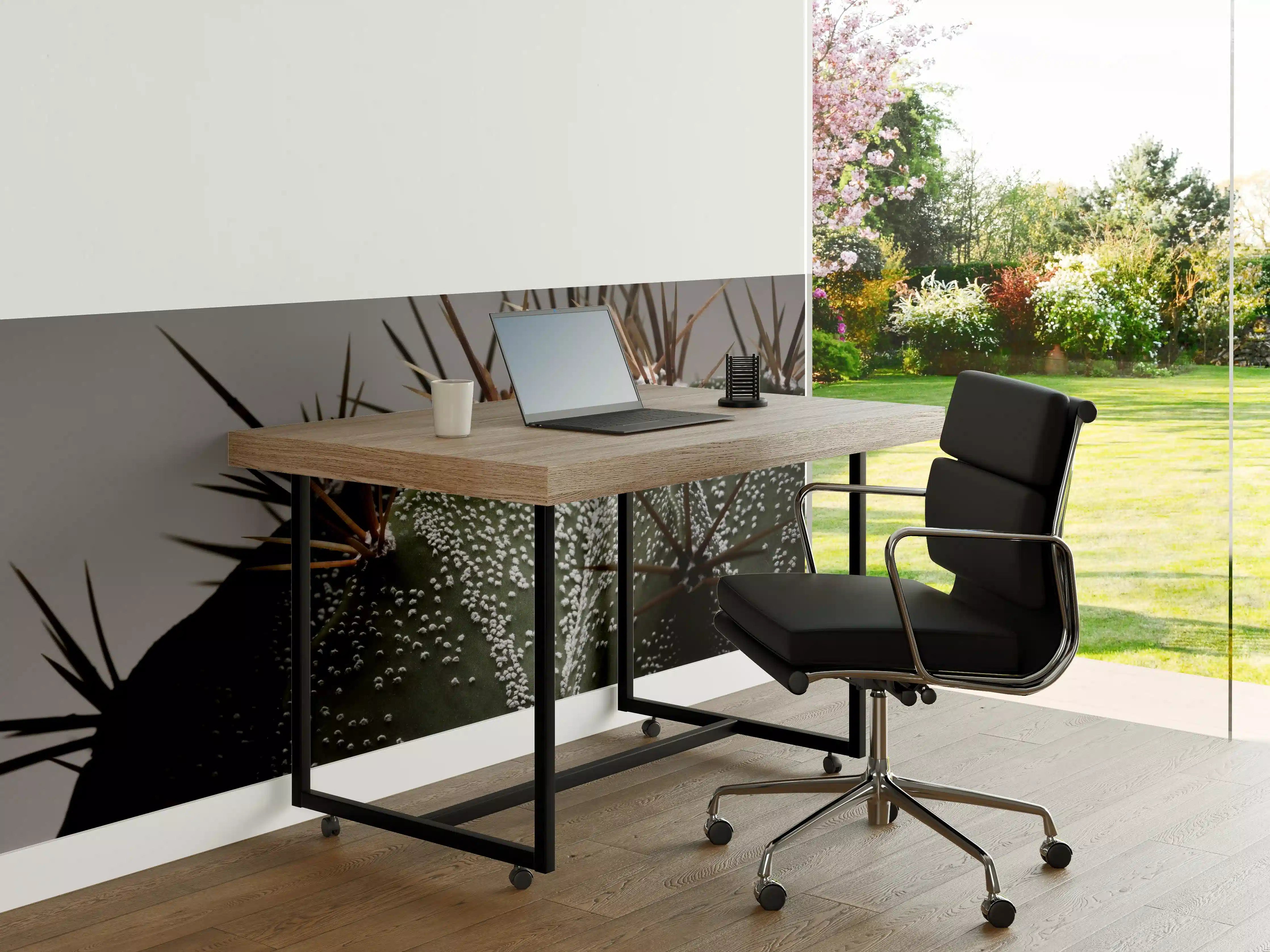 Büro Wandgestaltung - Stacheliger Sternenkaktus