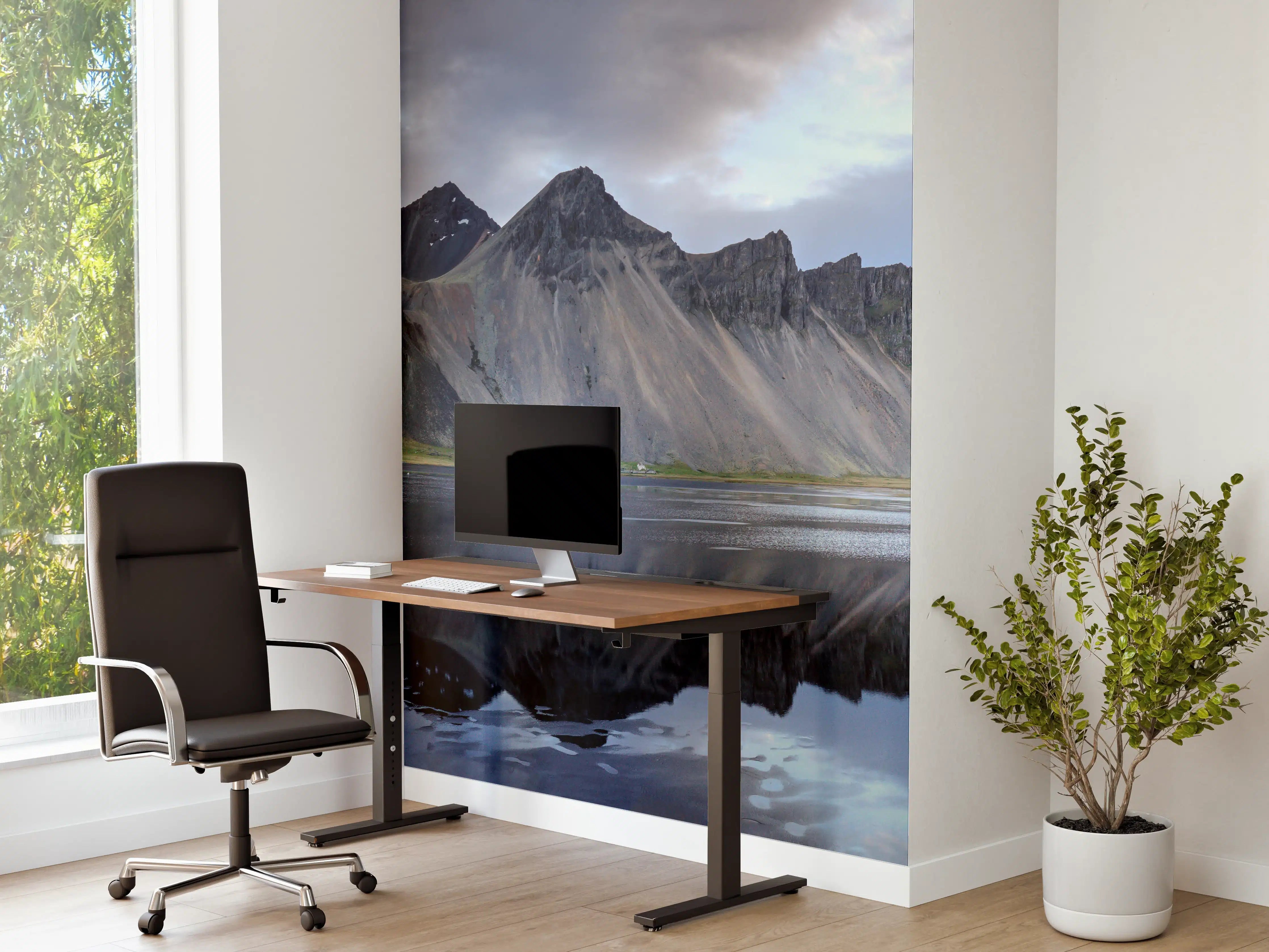 Büro Wandgestaltung - Stokksnes an der isländischen Küste