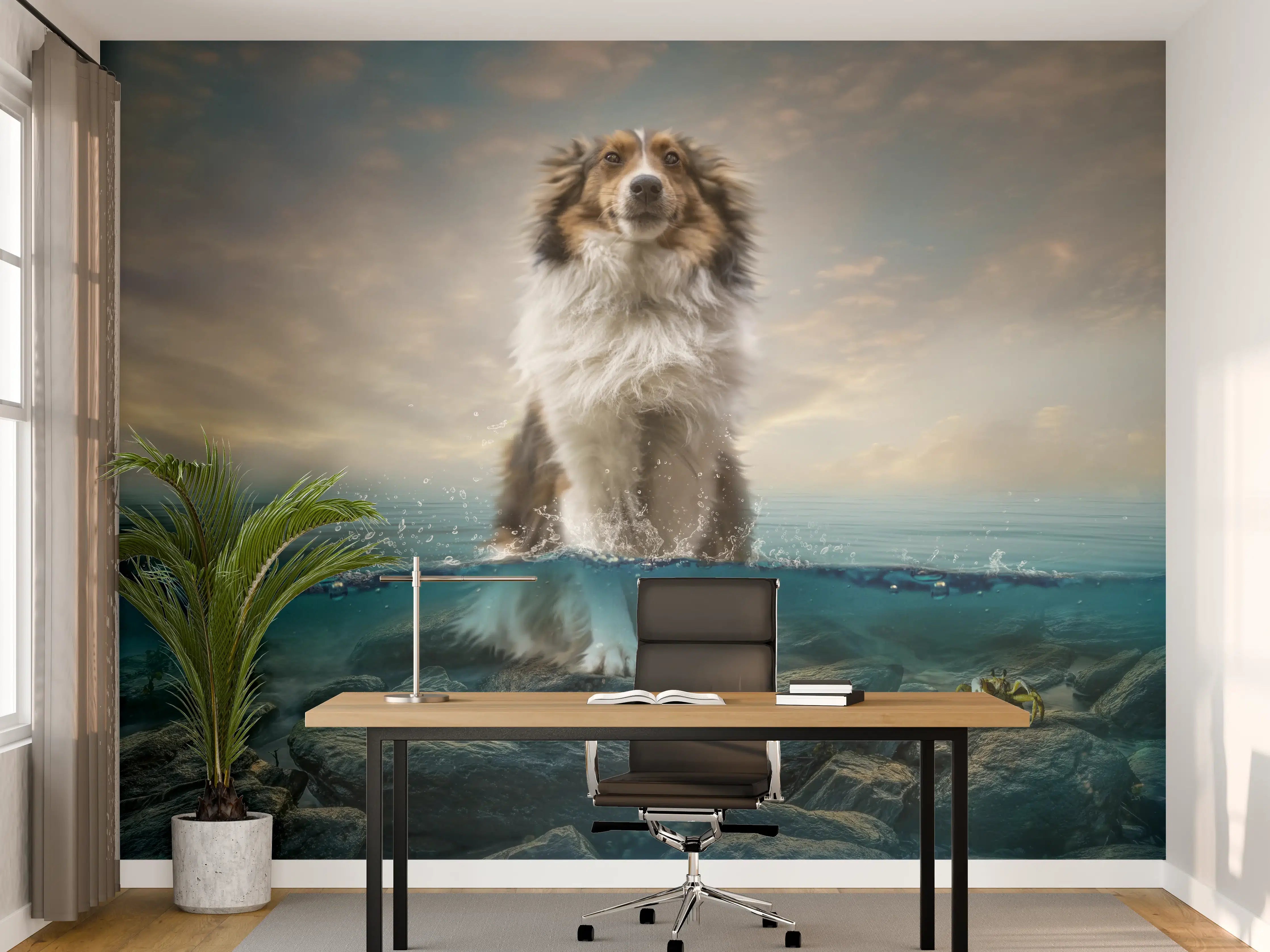 Büro Wandgestaltung - Stolzer Shetland-Schäferhund im Wasser