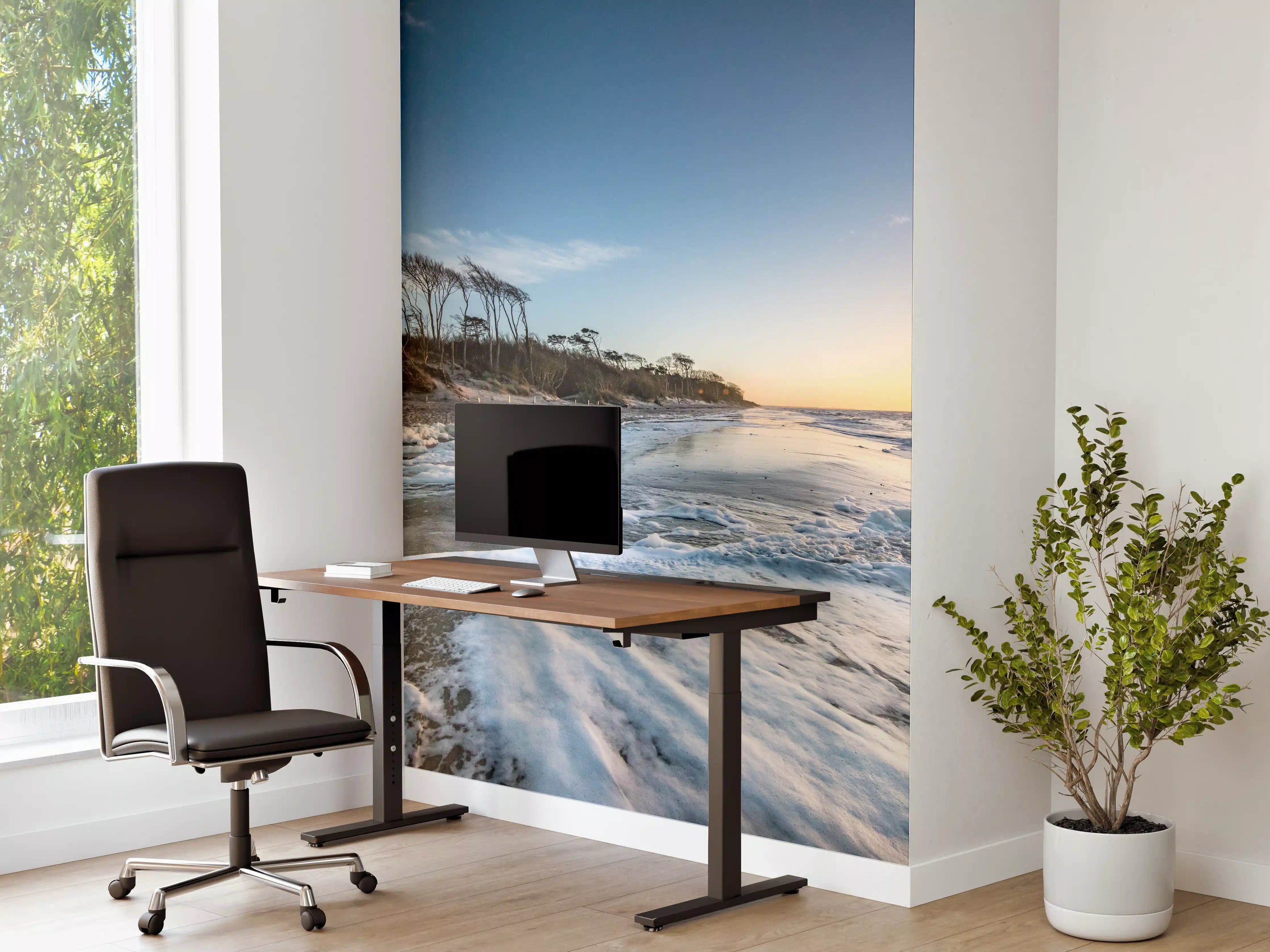 Büro Wandgestaltung - Strand in Rügen bei Sonnenaufgang