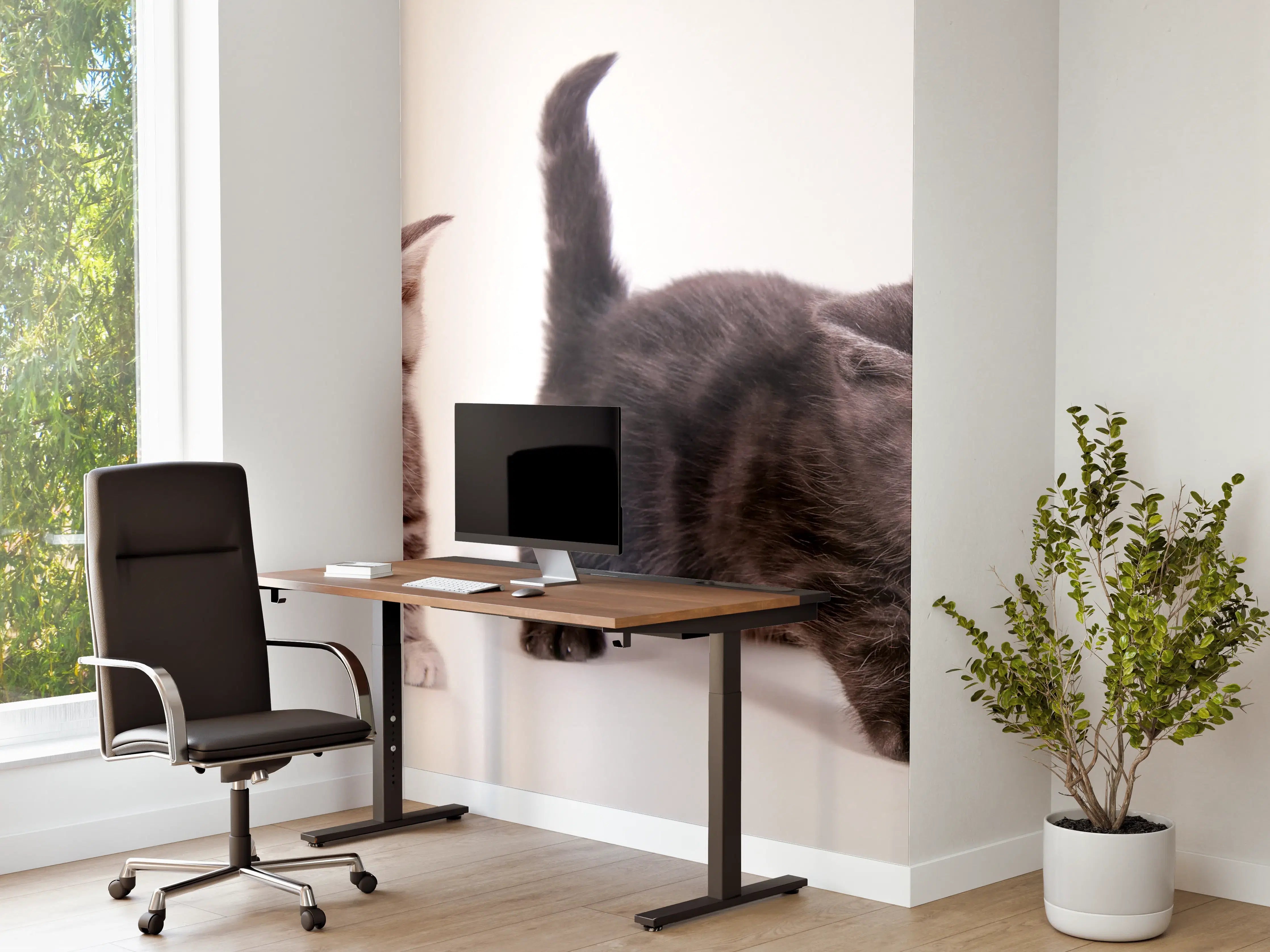 Büro Wandgestaltung - Süße Britisch Kurzhaar Kätzchen