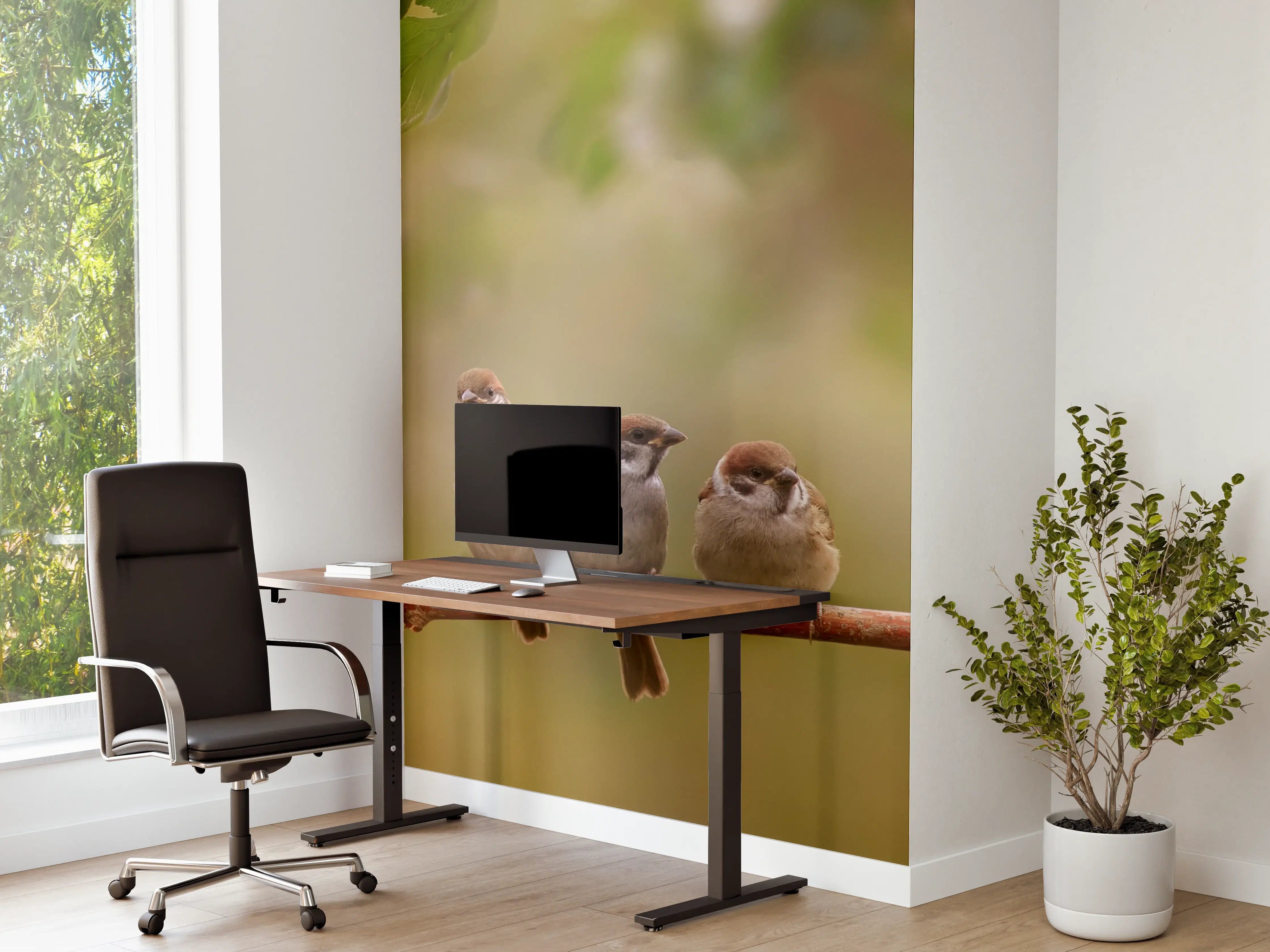 Büro Wandgestaltung - Süße Meisen auf Zweig im Garten