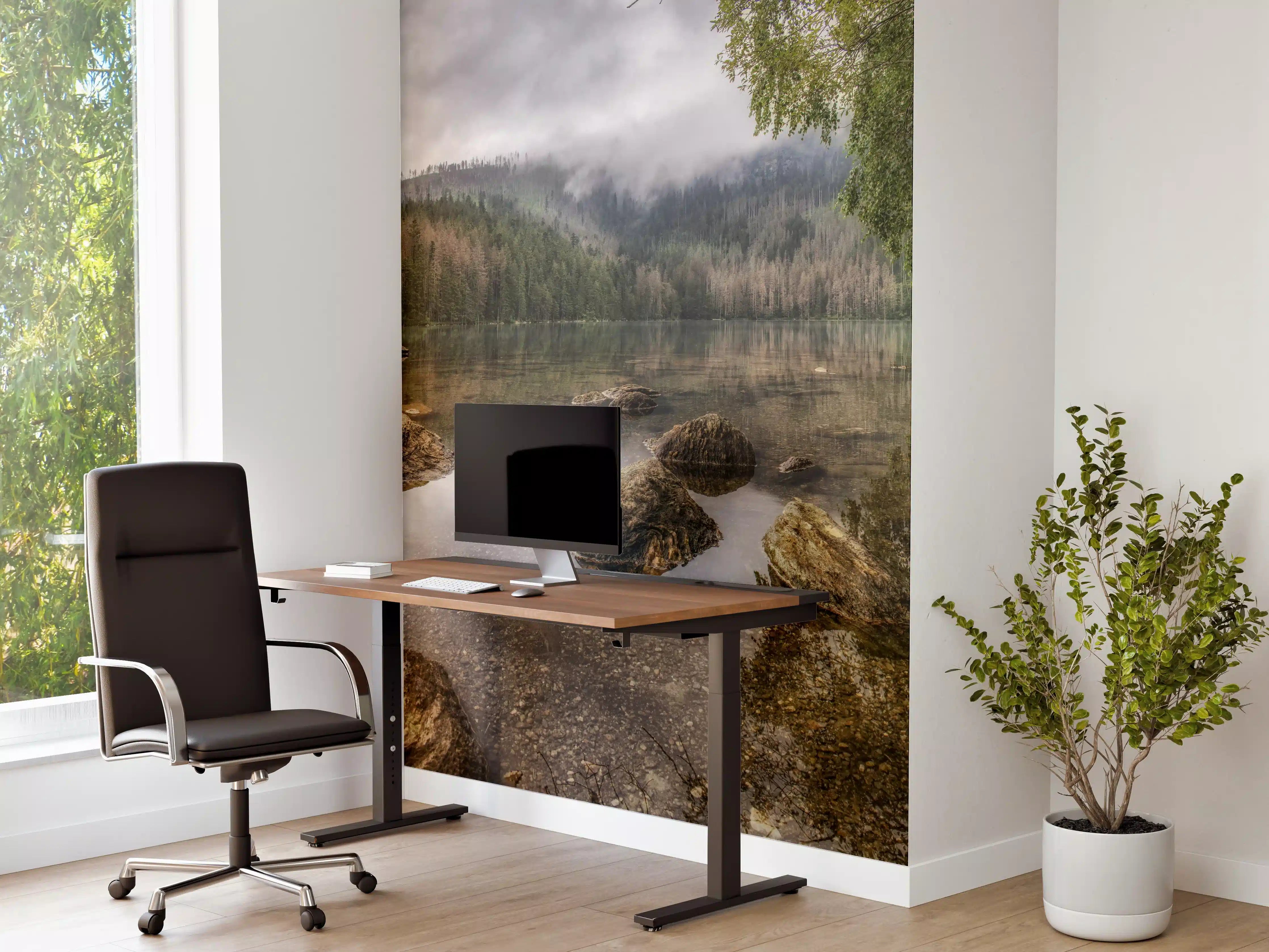 Büro Wandgestaltung - Sumava - Schwarzer See - Tschechische Republik
