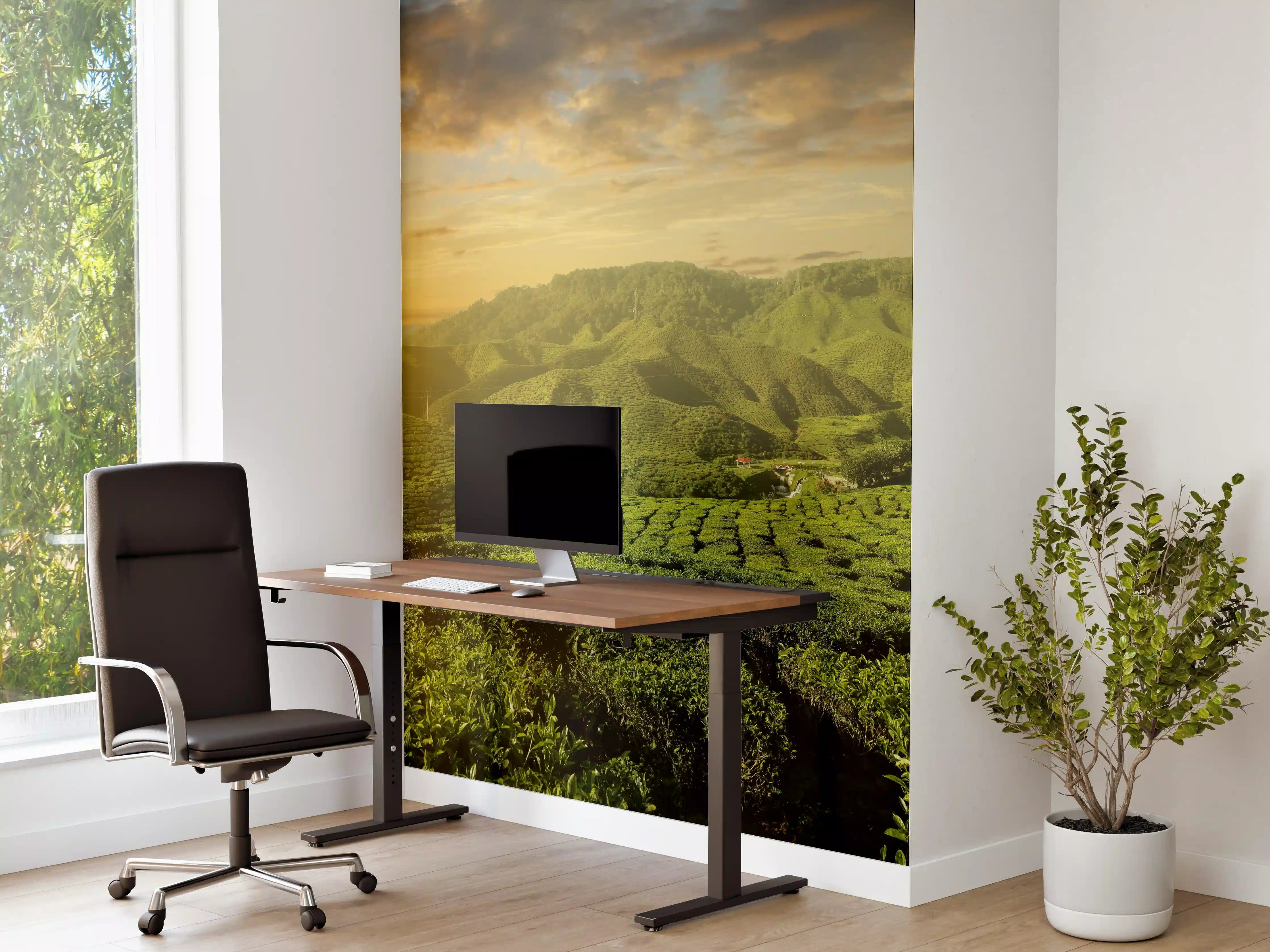 Büro Wandgestaltung - Teeplantage in Malaysia