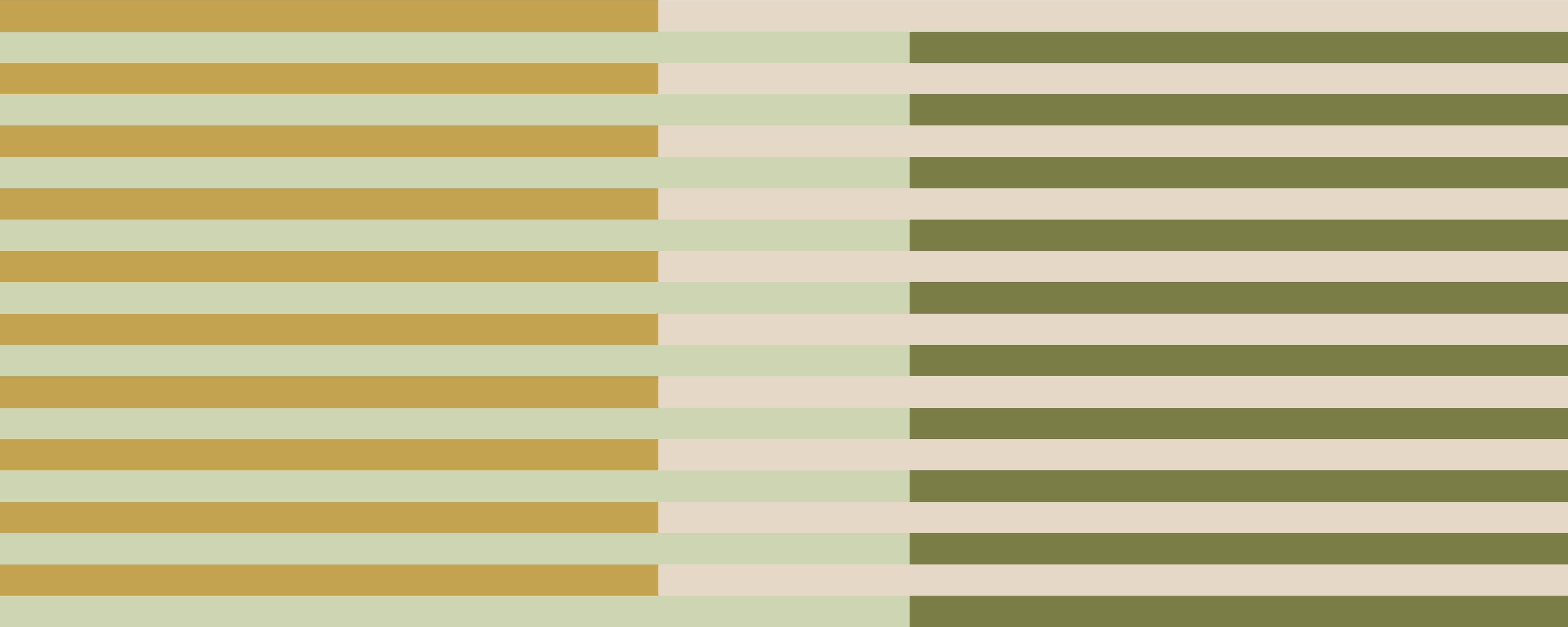 Büro Wandgestaltung-The Springs - Multy Stripes - Birch