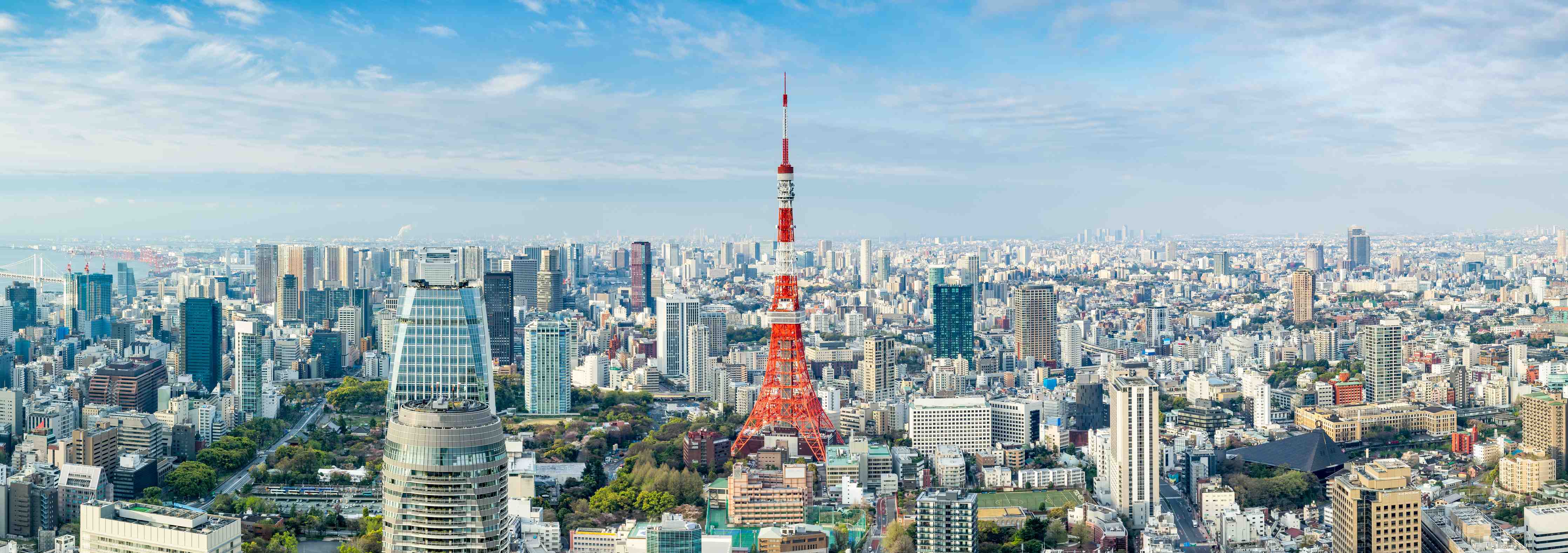Büro Wandgestaltung-Tokio Skyline Rot-Blau