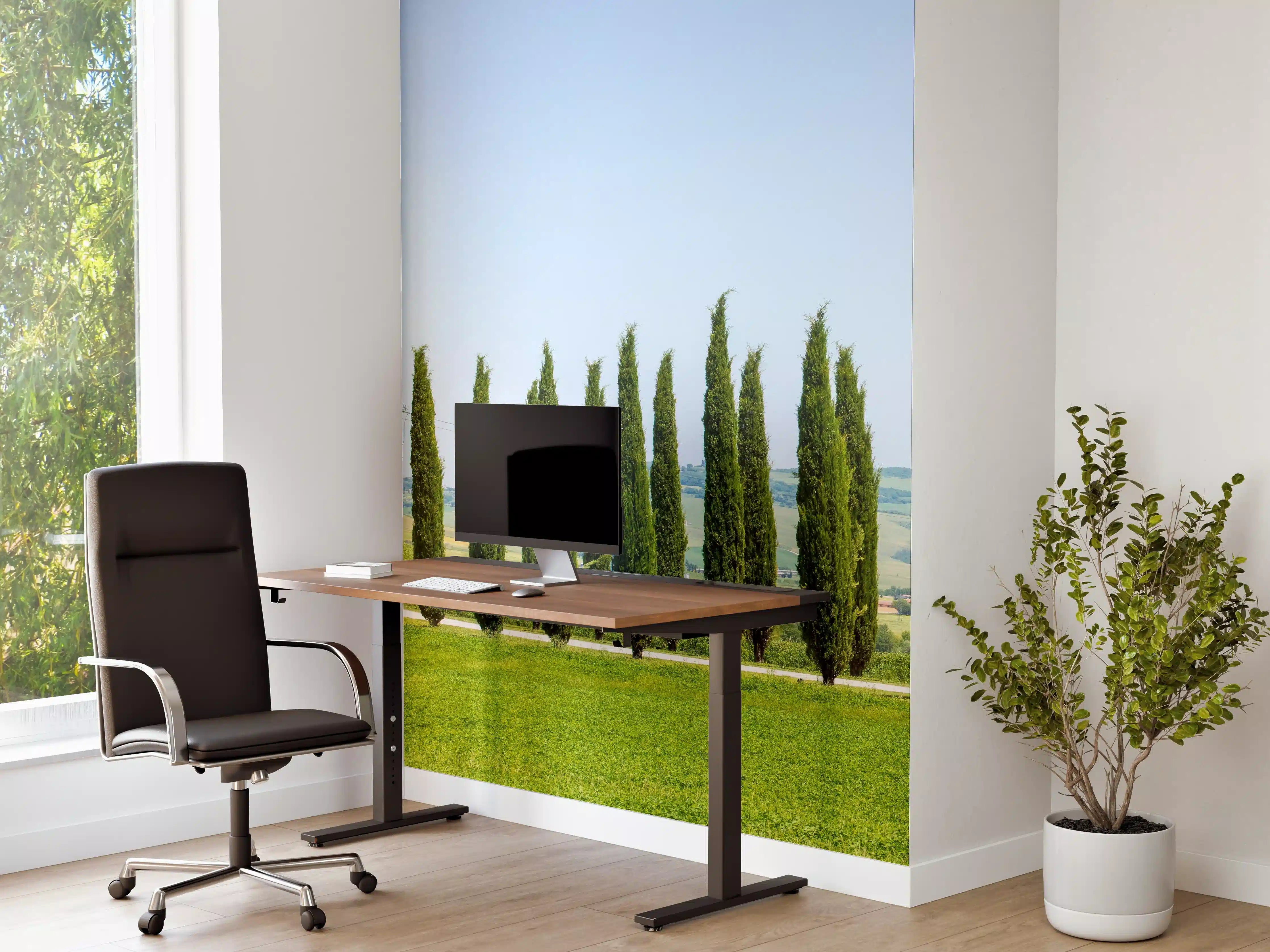Büro Wandgestaltung - Toskanische Zypressenallee