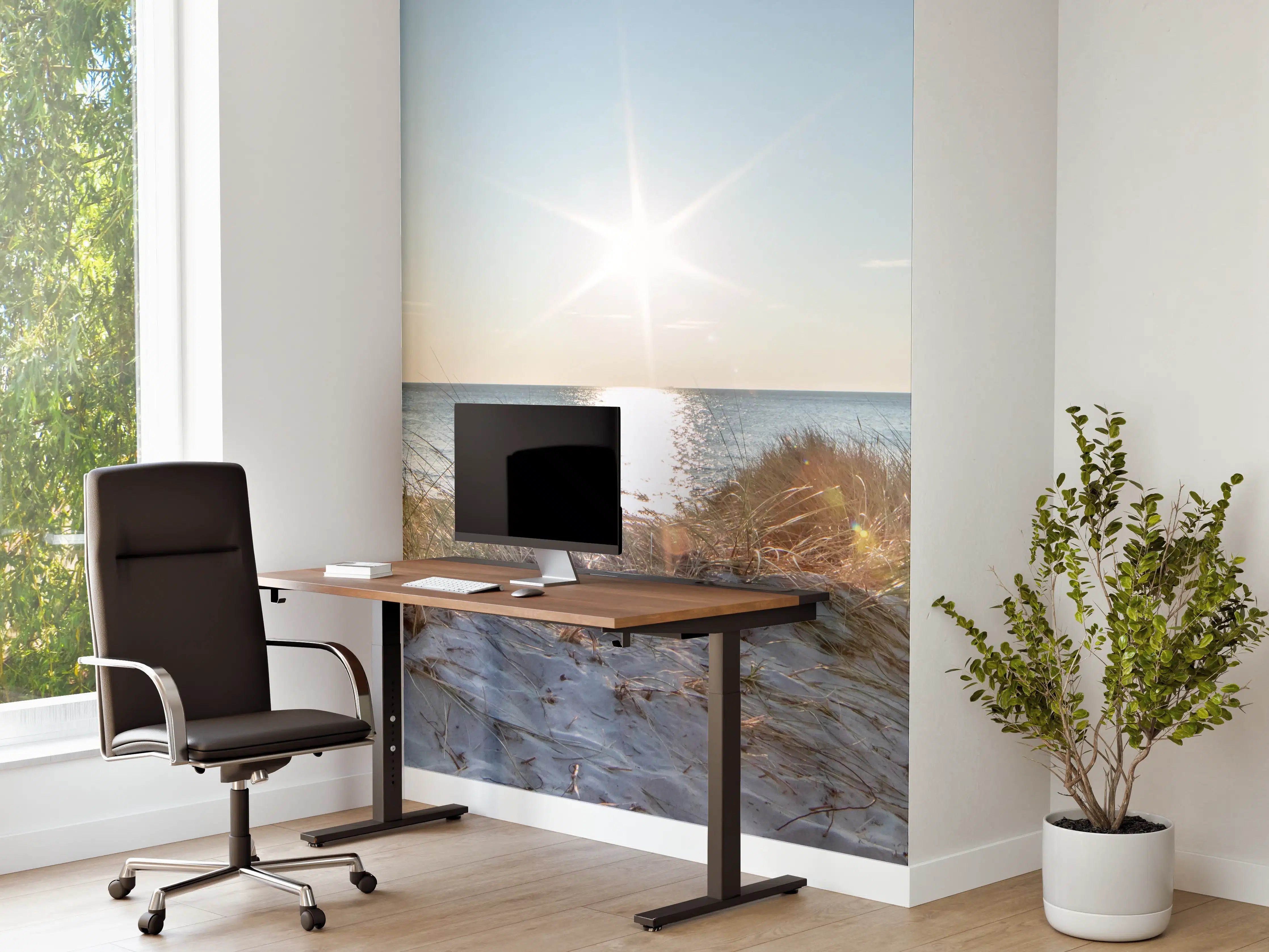 Büro Wandgestaltung - Traumstrand an der Ostküste