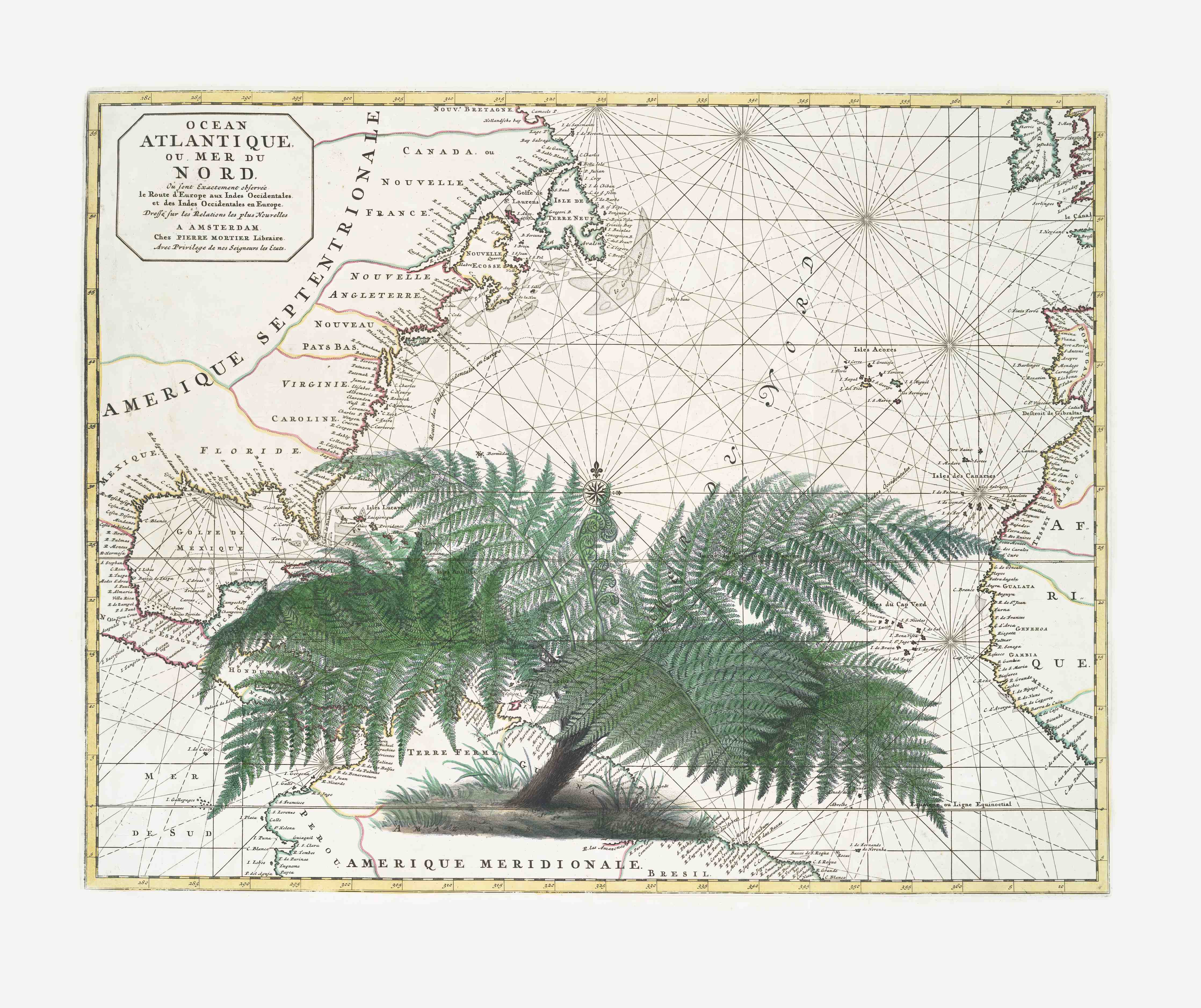 Büro Wandgestaltung-Tropical Empire No4