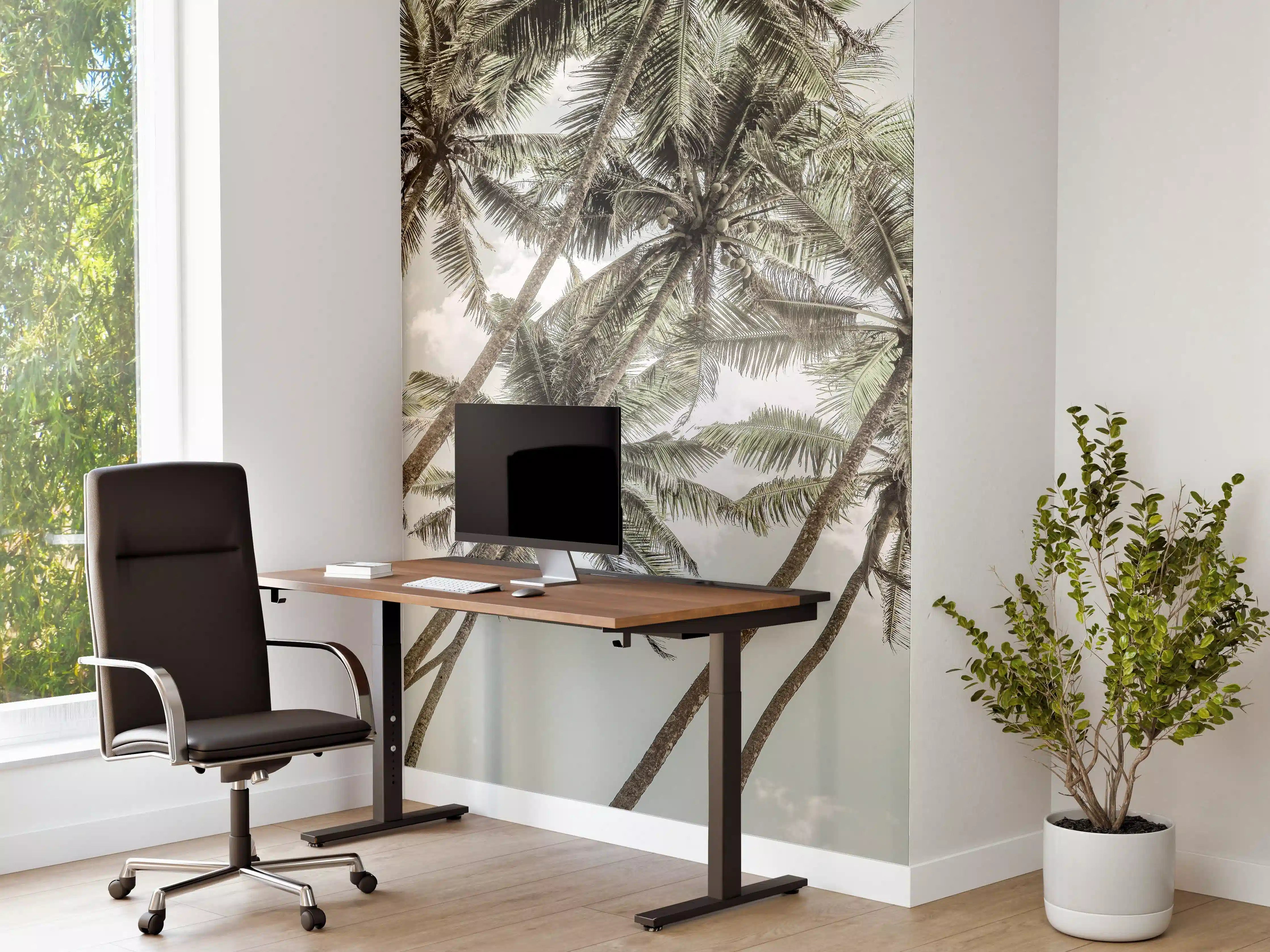 Büro Wandgestaltung - Tropische Palmenhimmel-Stimmung