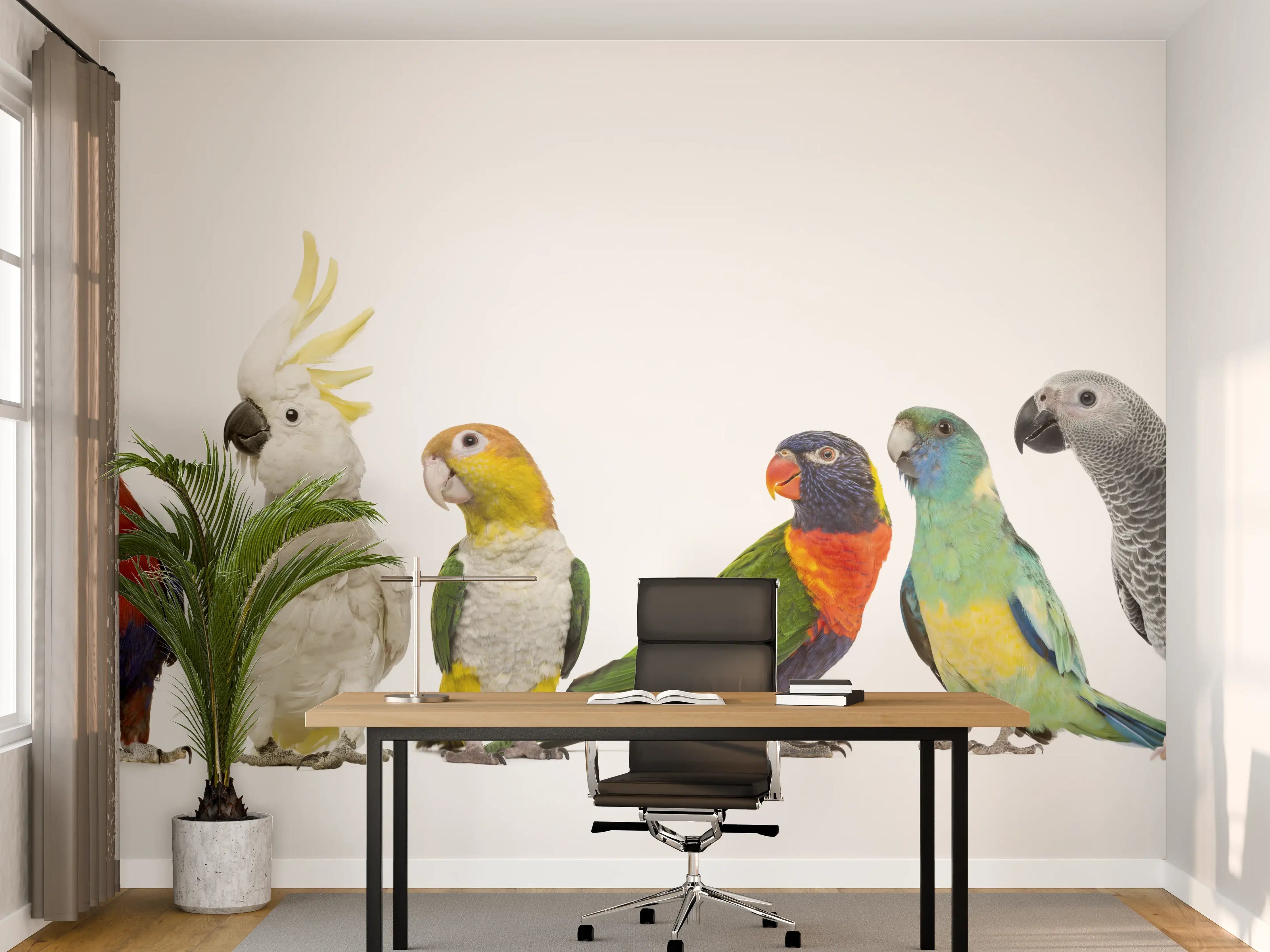 Büro Wandgestaltung - Tropische Papageien - Exotisch