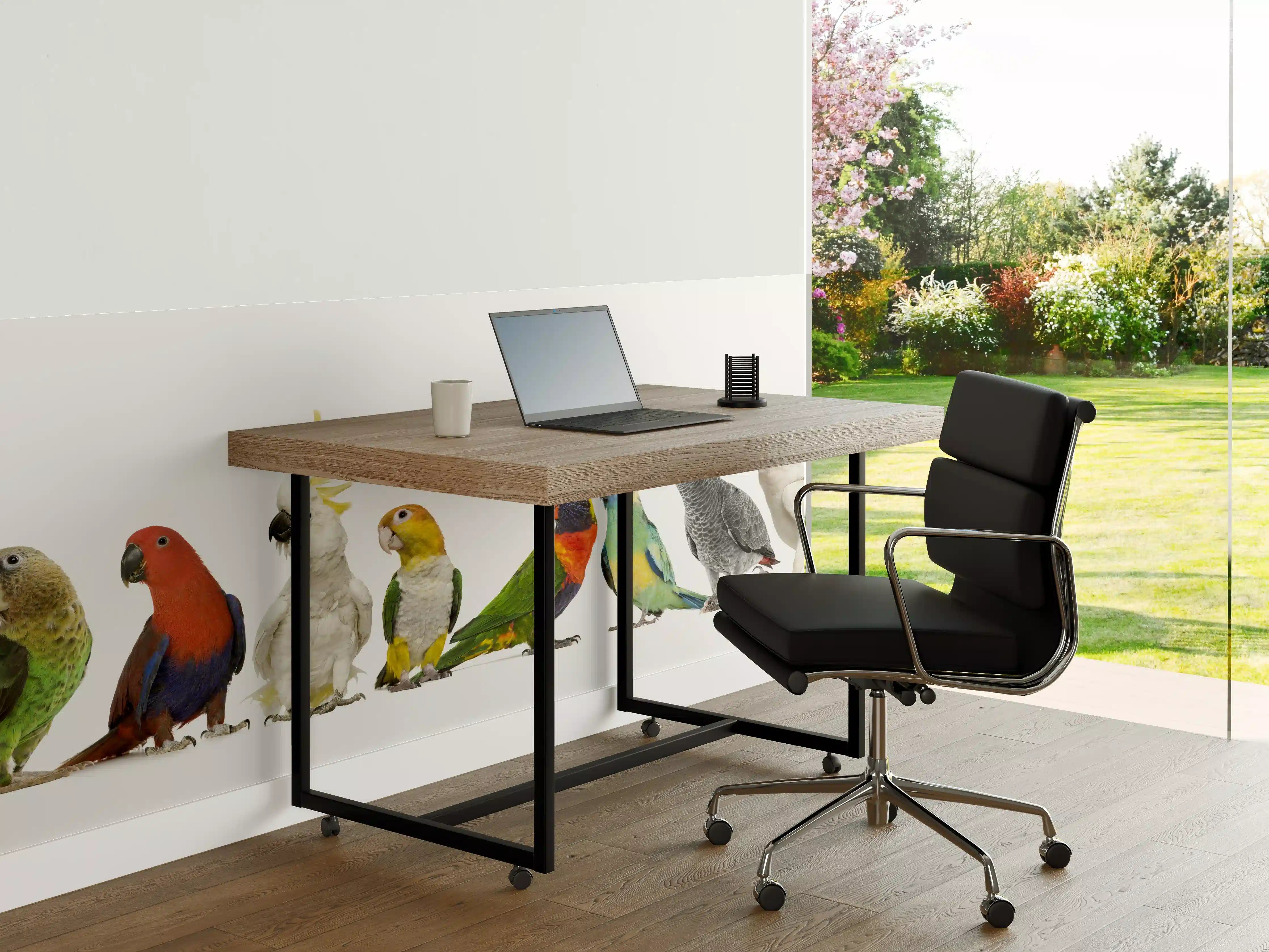 Büro Wandgestaltung - Tropische Papageien - Exotisch