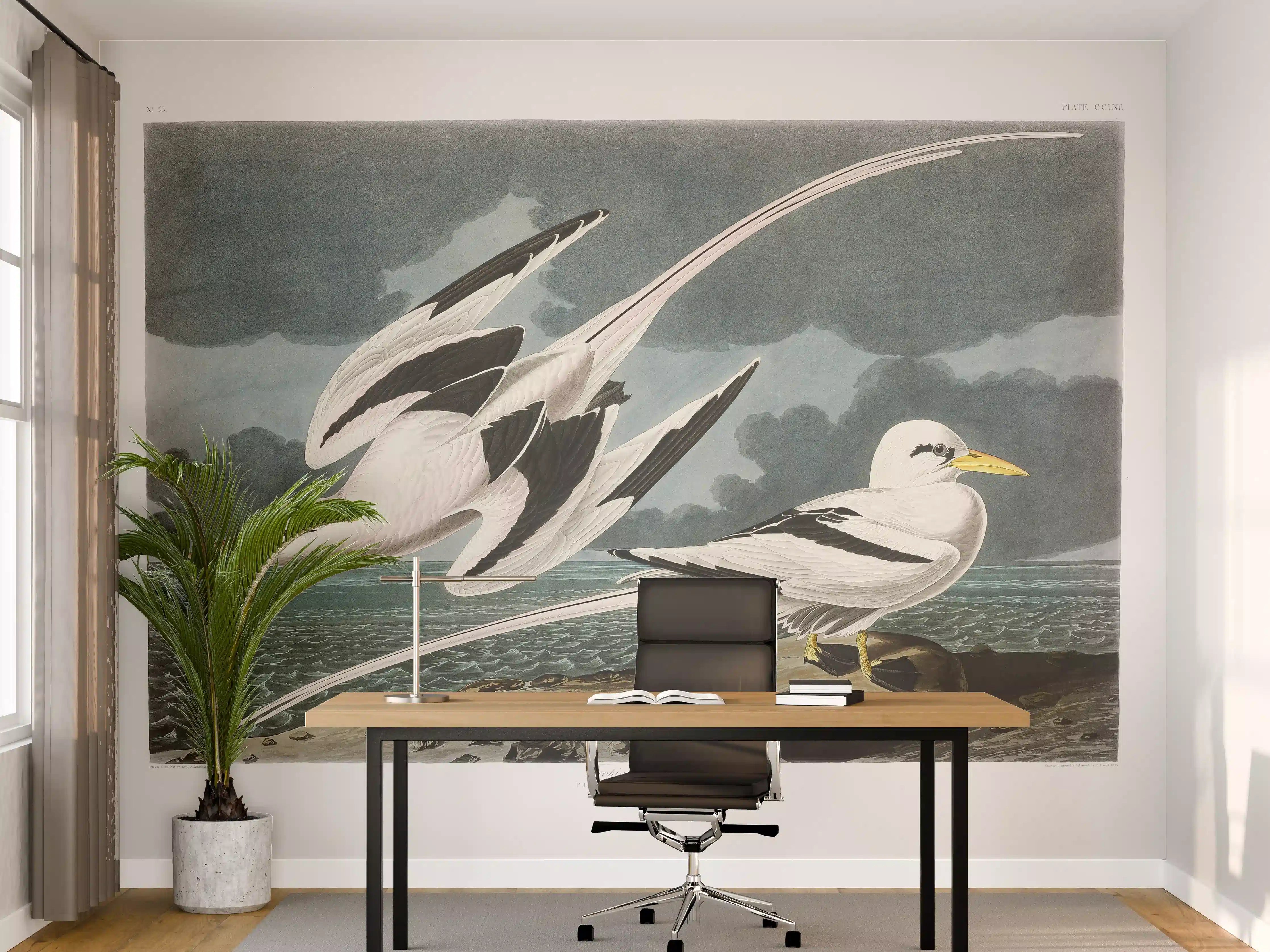 Büro Wandgestaltung - Tropische Vögel - John James Audubon