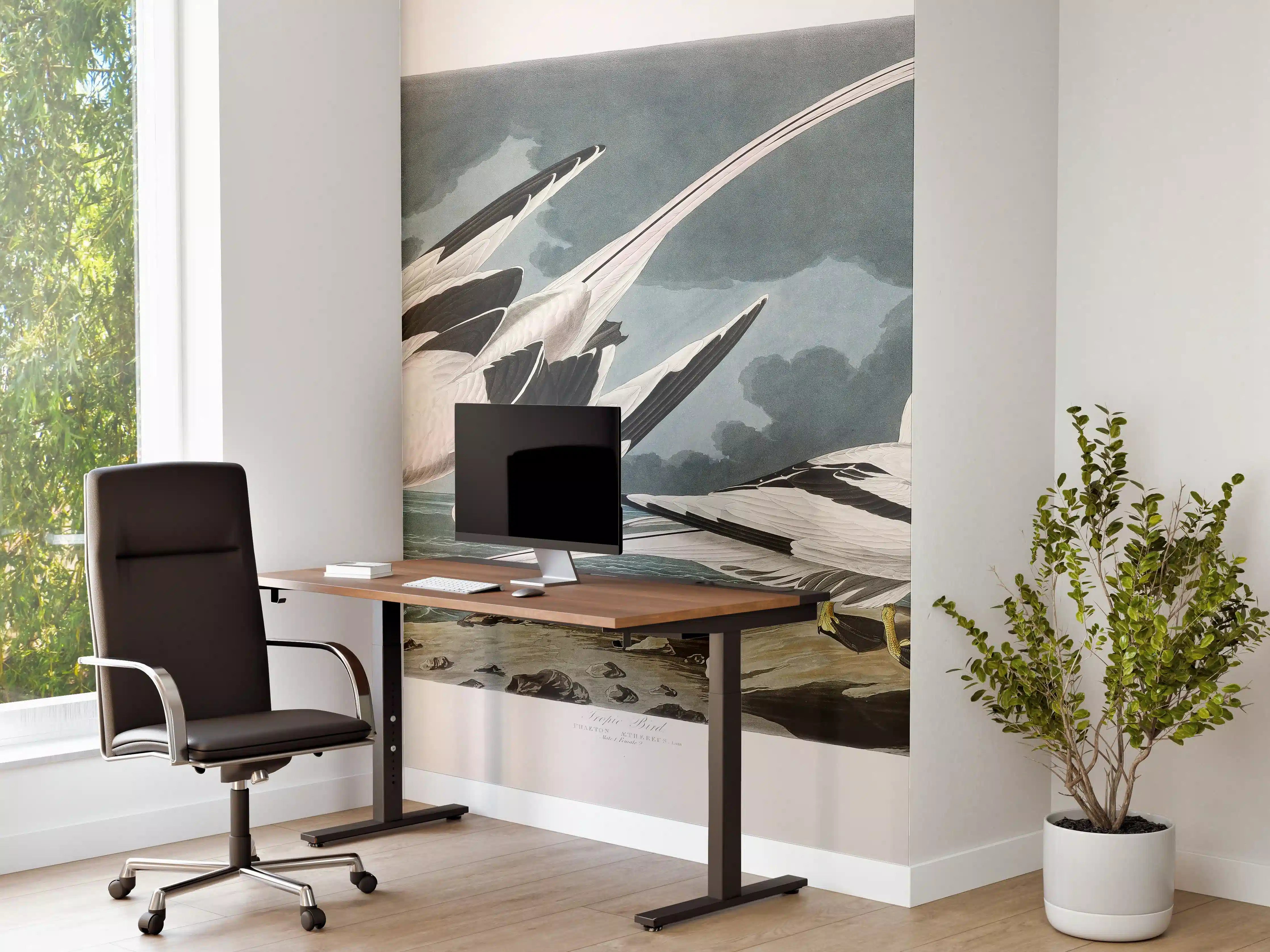 Büro Wandgestaltung - Tropische Vögel - John James Audubon